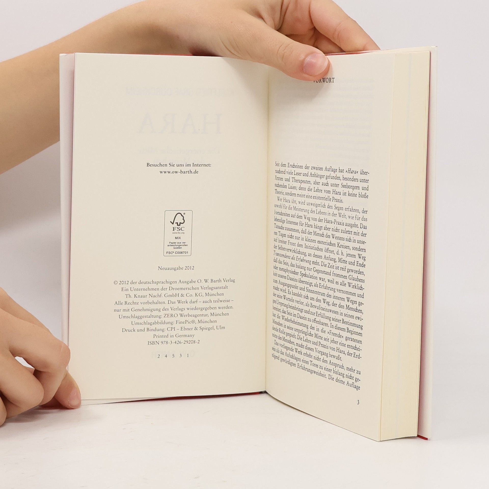 Harald Bergmann Passion Hölderlin. 4. Teil der Harald Bergmann Hölderlin-Edition
