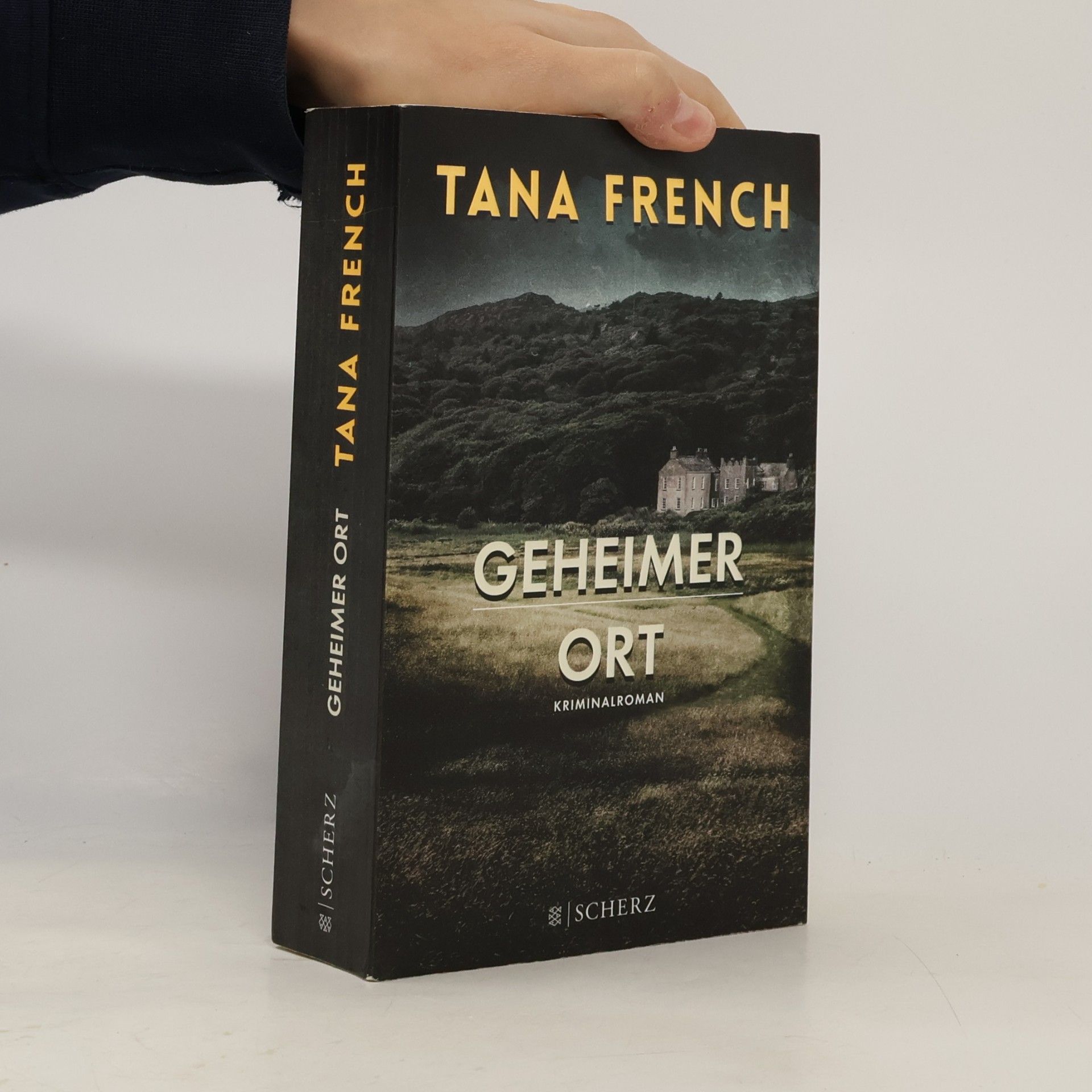 Tana French Geheimer Ort