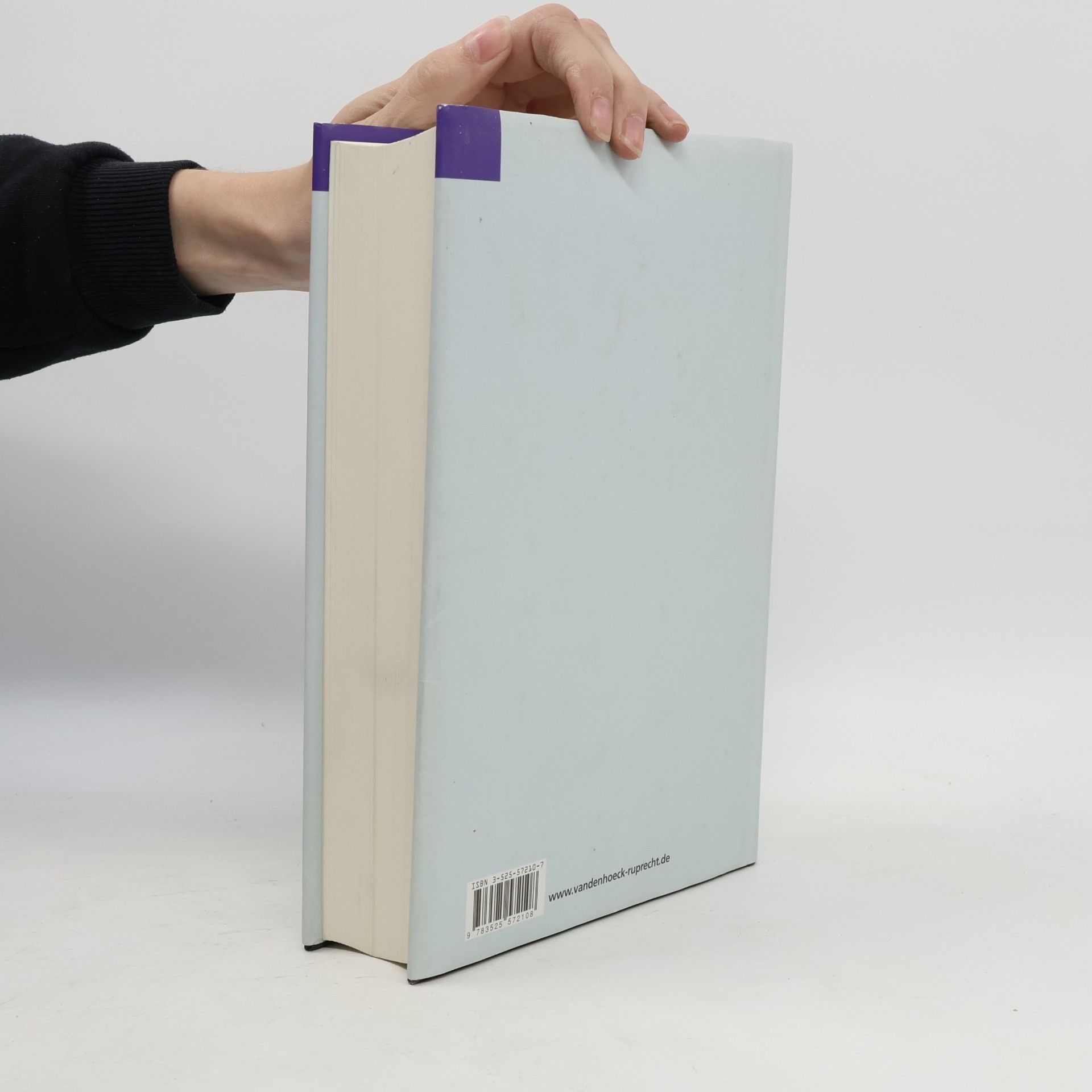 Hans Christoph Schmidt Lauber Handbuch der Liturgik