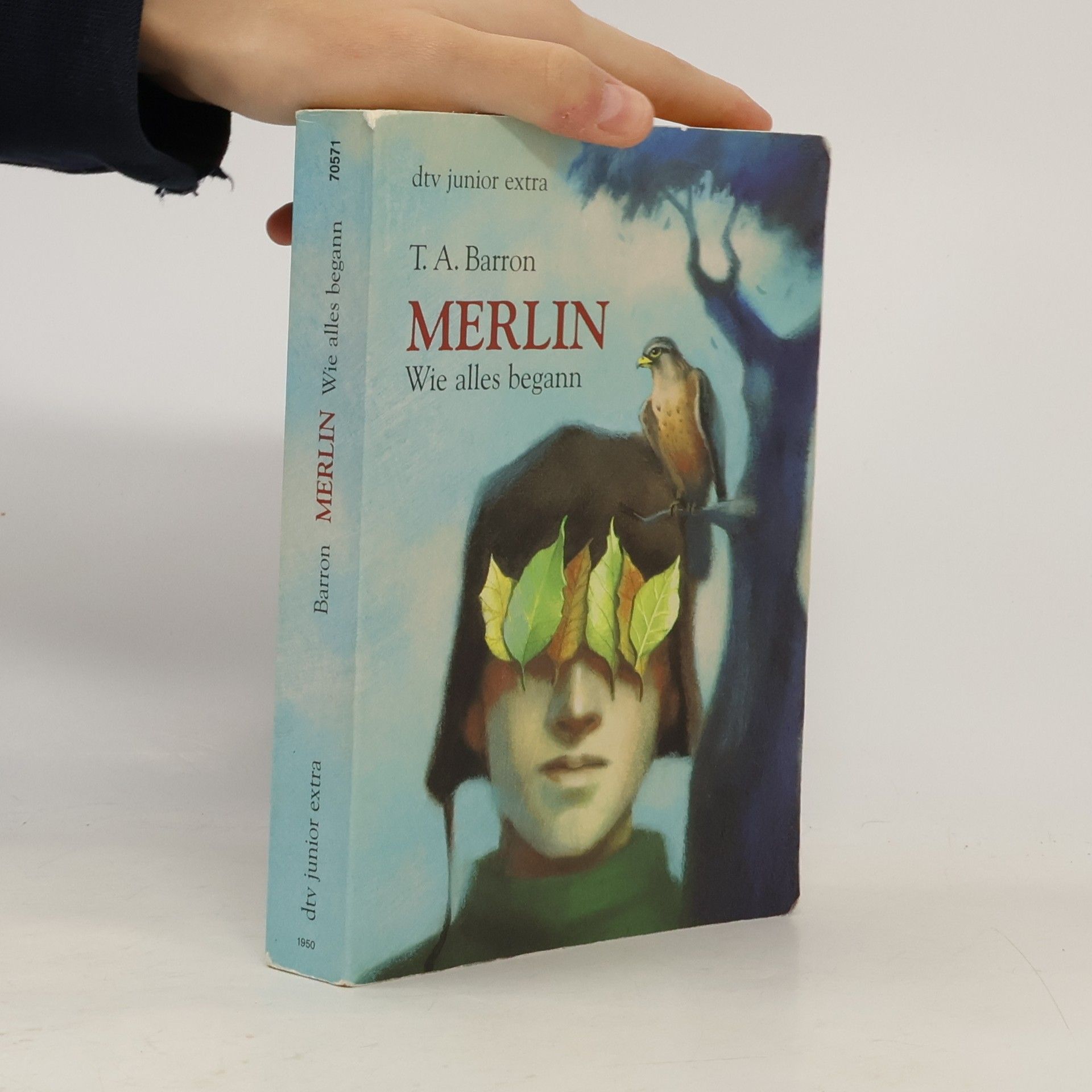 T. A. Barron Merlin. Wie alles begann
