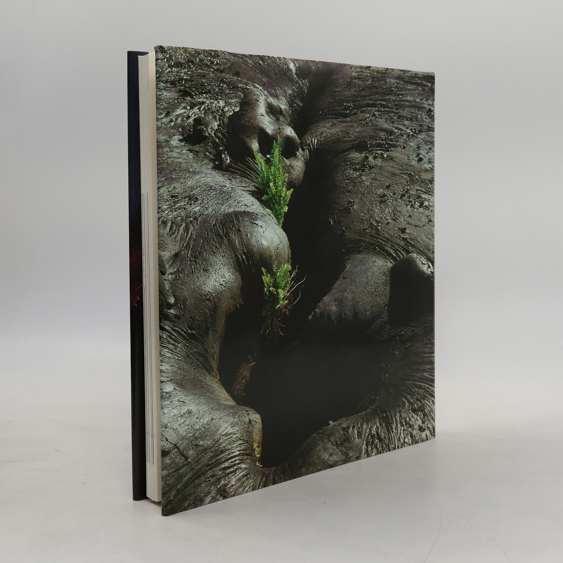 Katia Krafft Die Vulkane der Welt