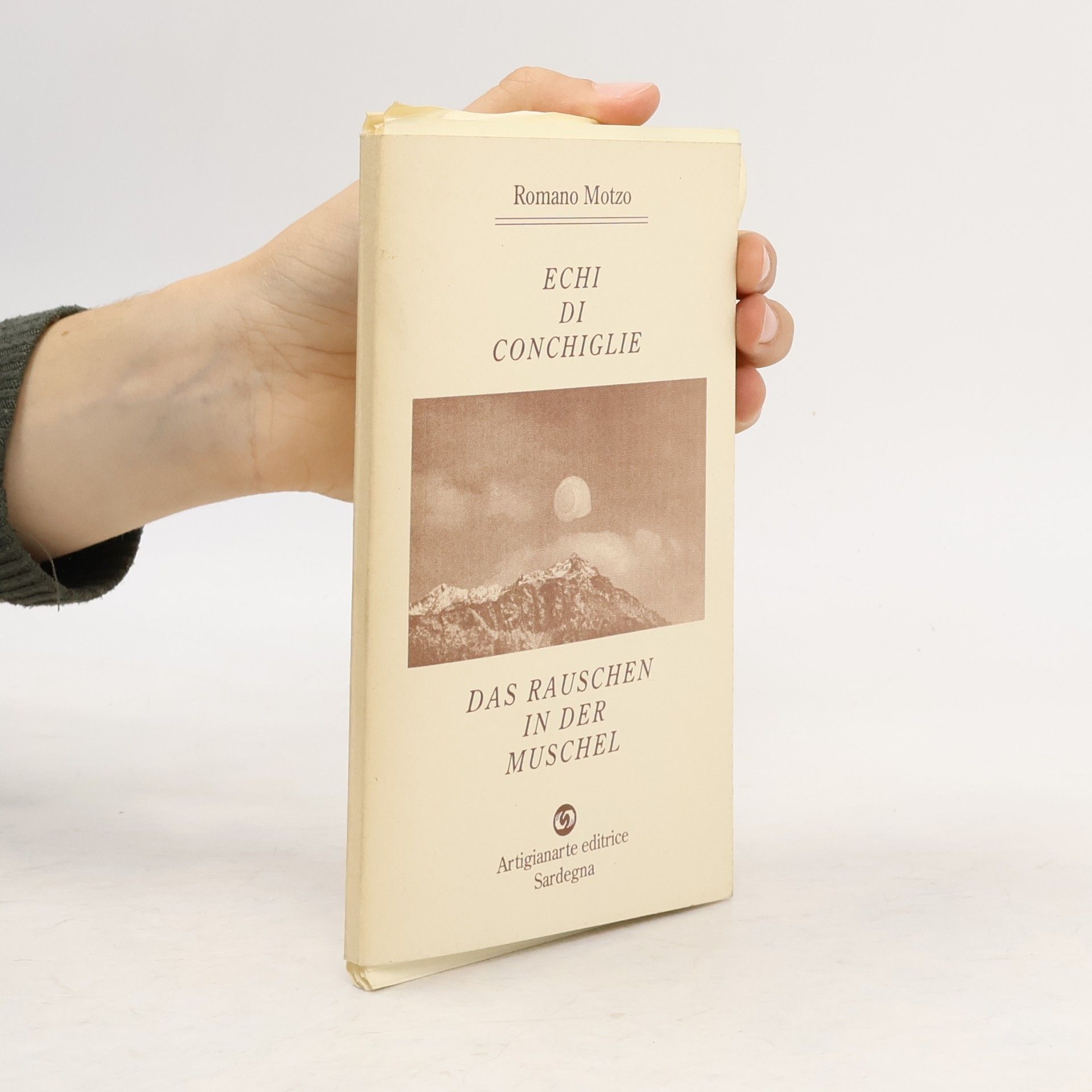 Echi di conchiglie