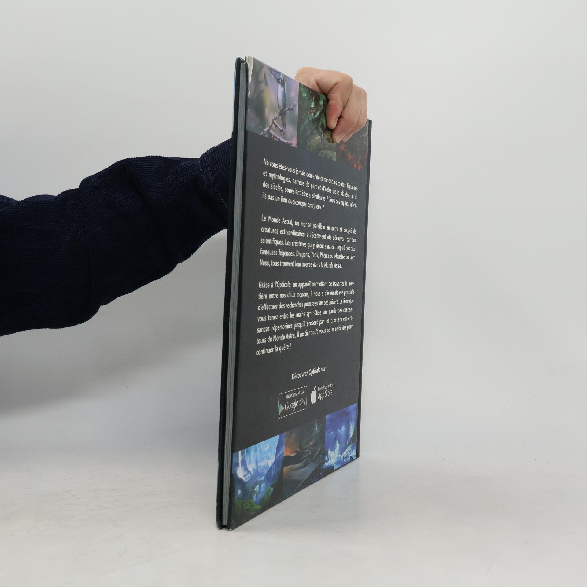 Soufian Mahlouly Opticale Encyclopédie 1
