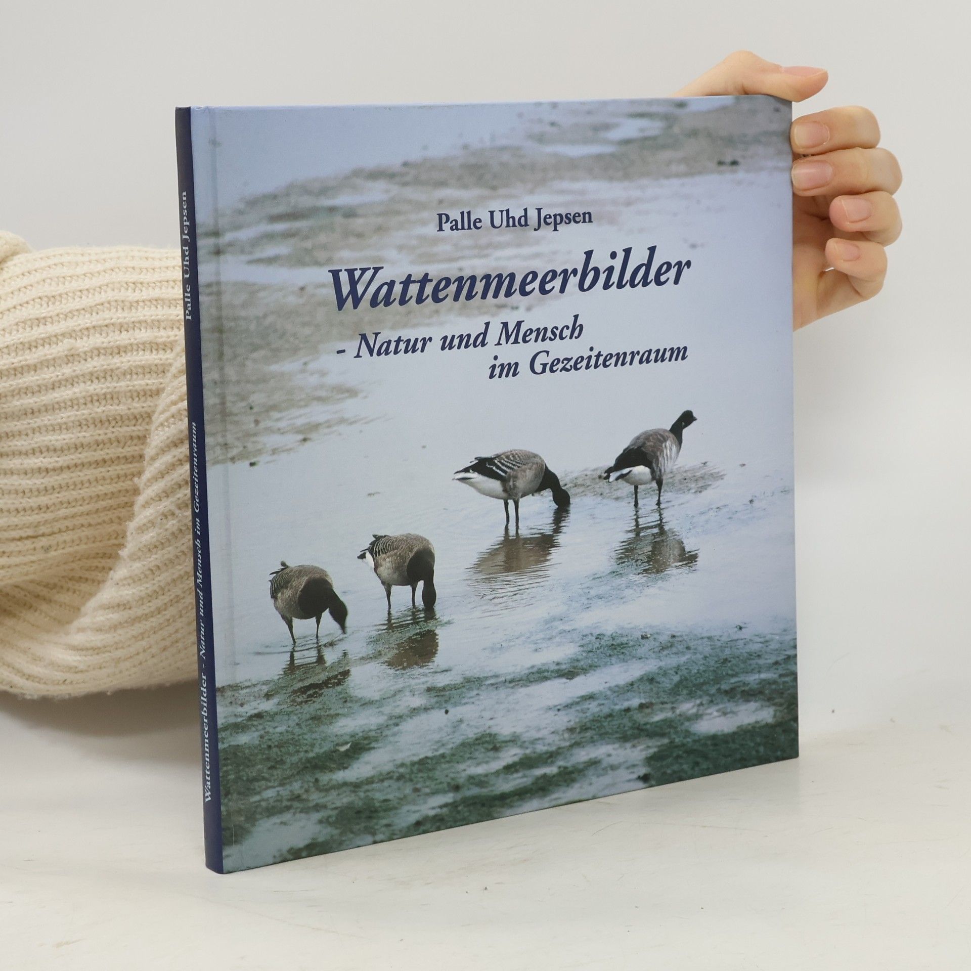Wattenmeerbilder