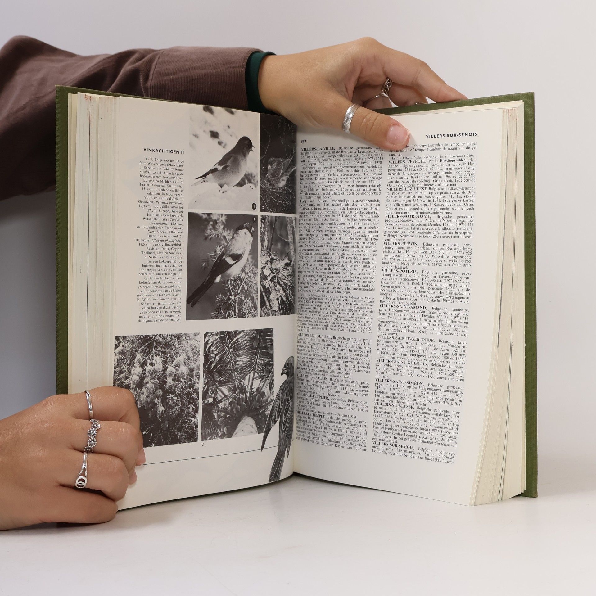 Grote Winkler Prins encyclopedie 19 - Vende druk