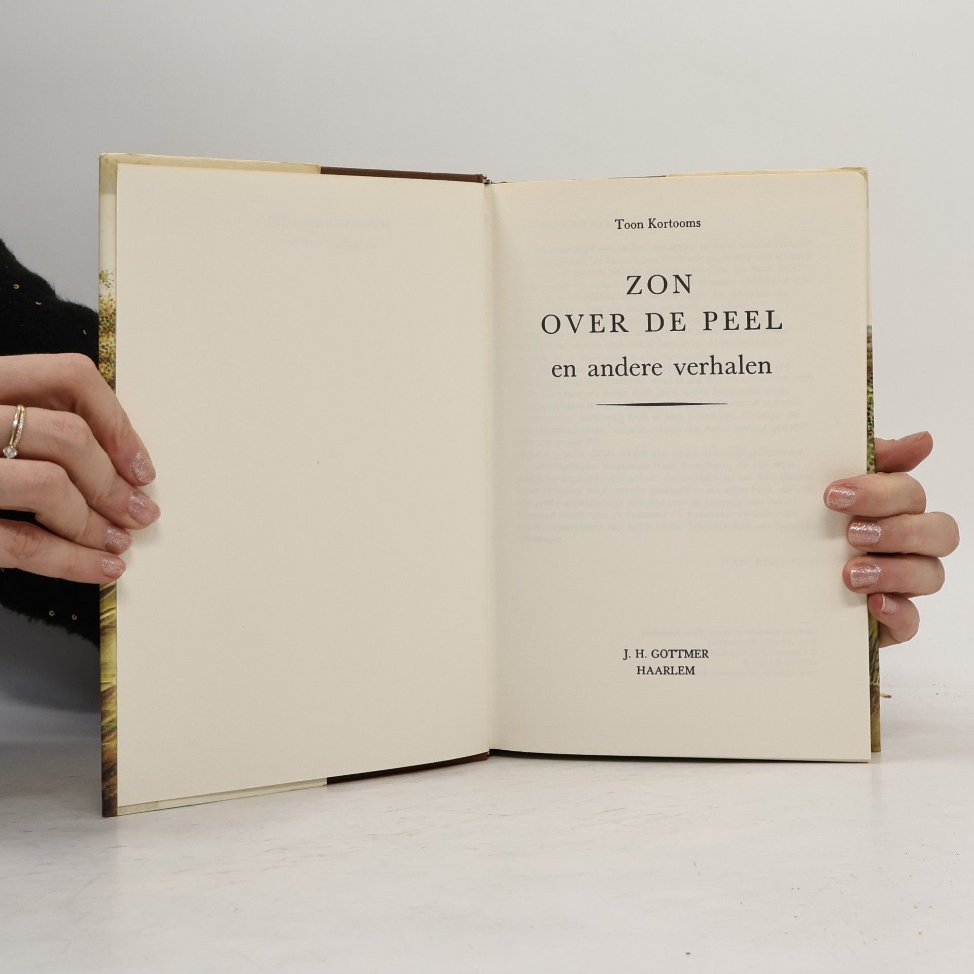 Toon Kortooms Zon over de Peel