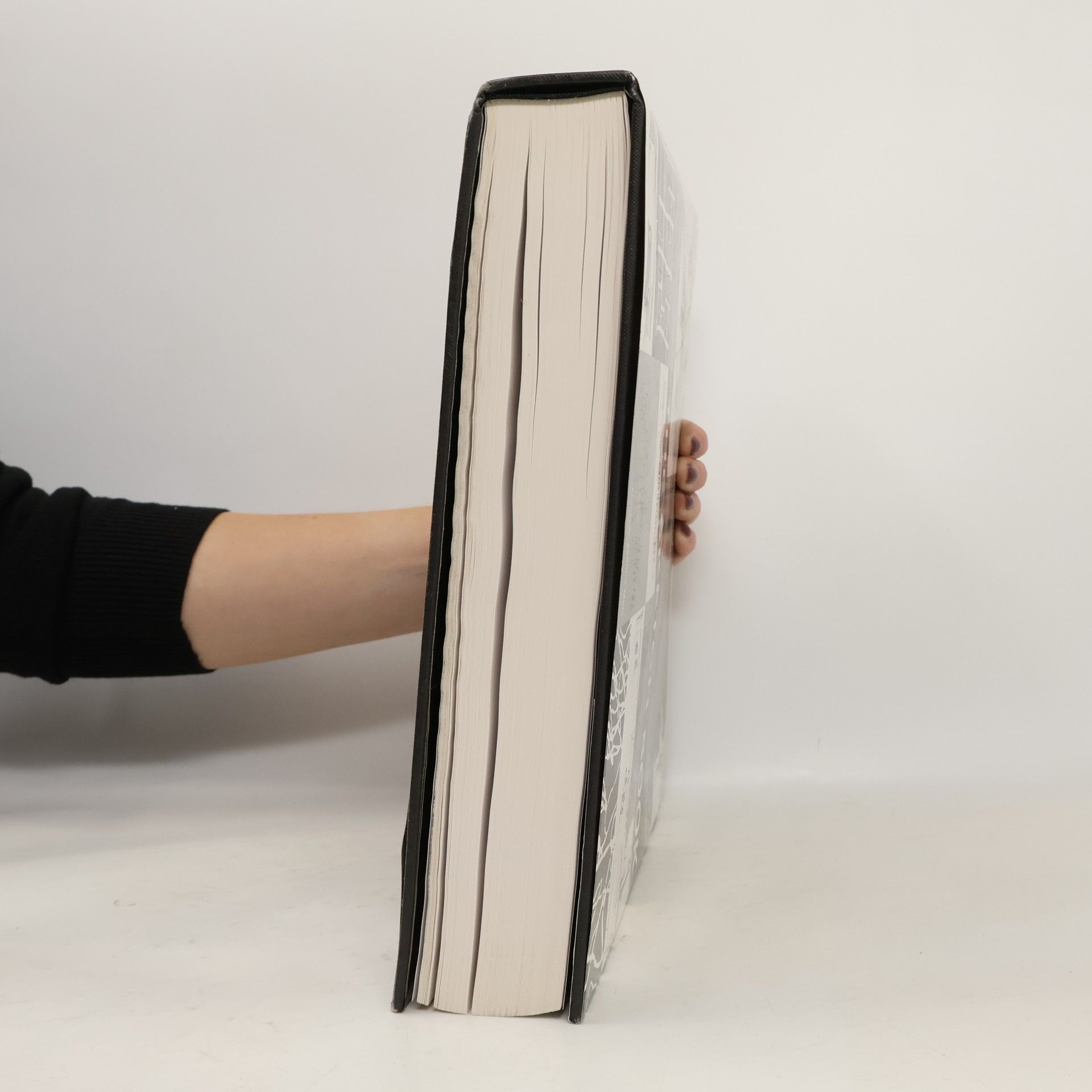 Francesc Zamora Mola The sketch book