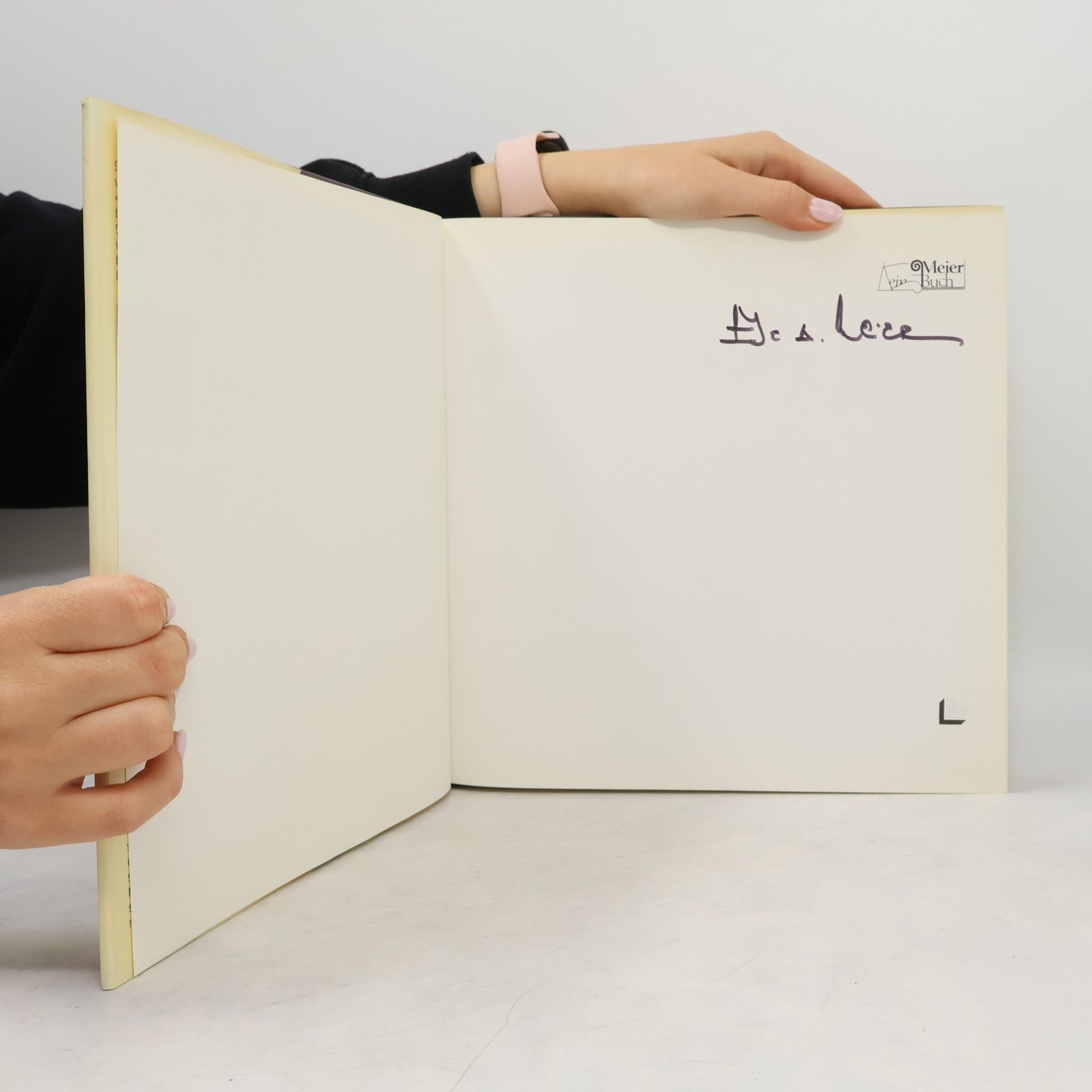Eugen A. Meier Das sagenhafte Basel