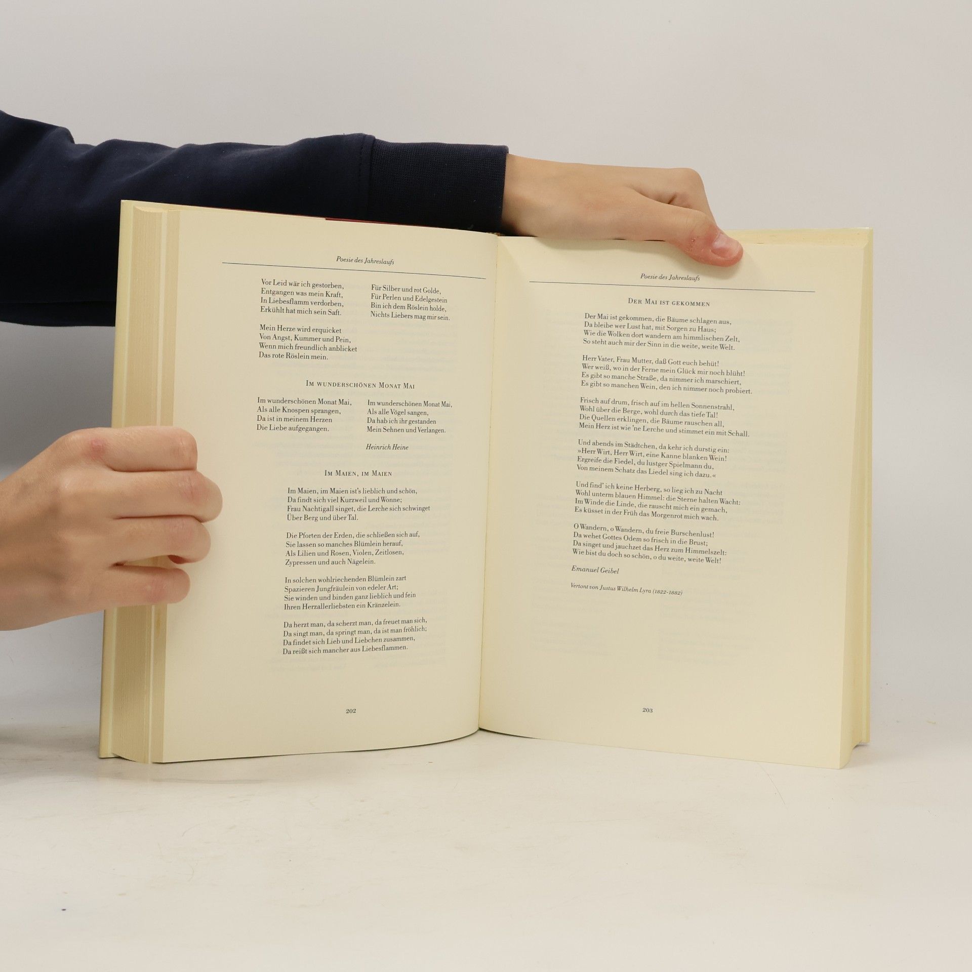 Hans-Walter Hansen Das große Buch der deutschen Volkspoesie