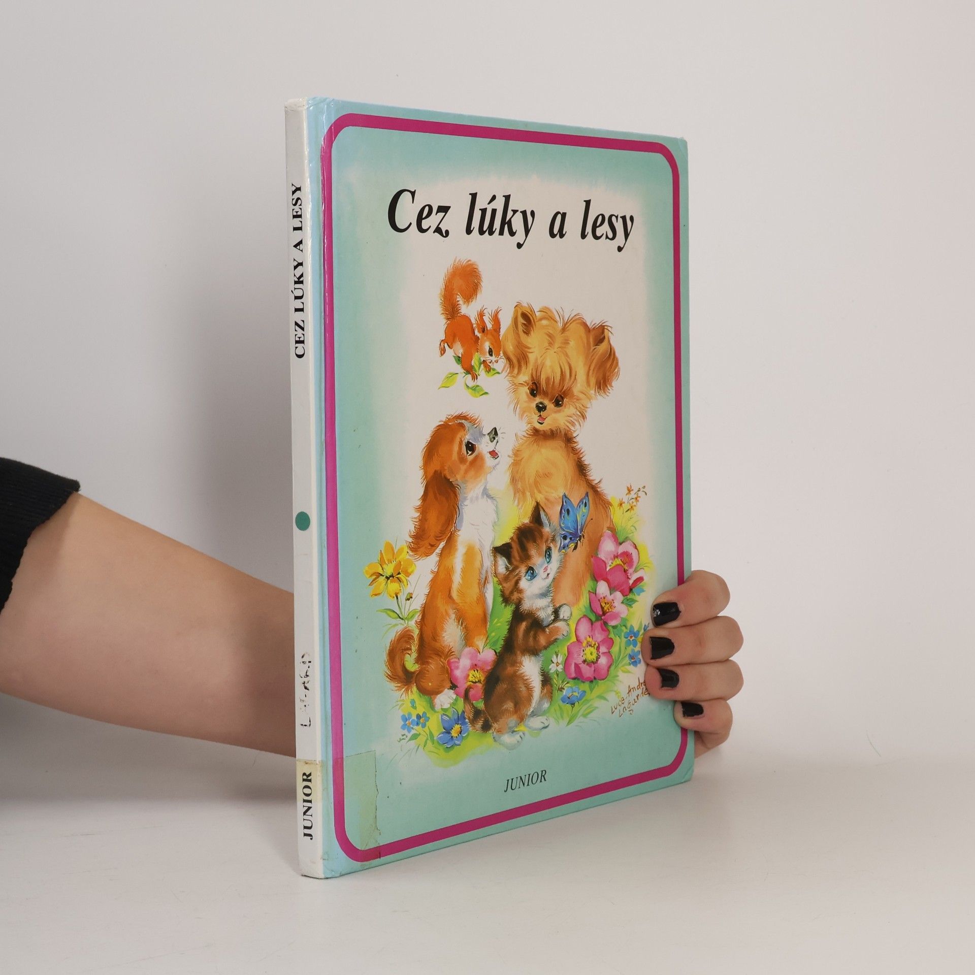 Cez lúky a lesy