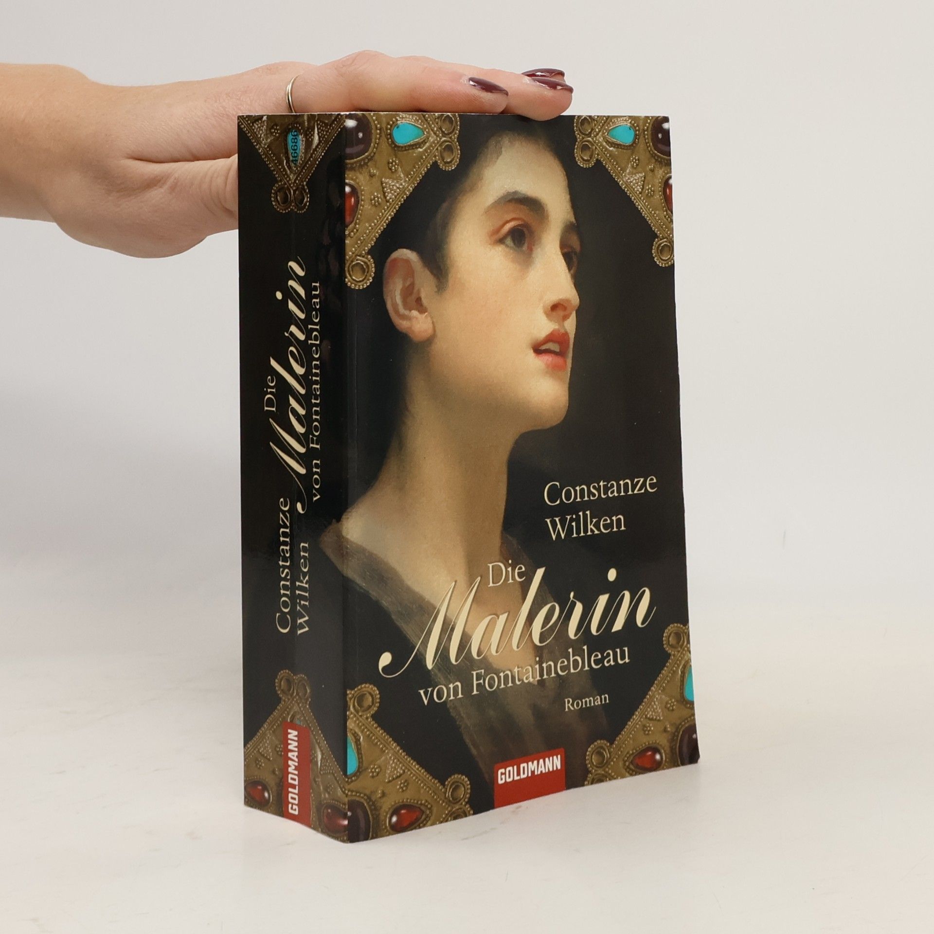 Constanze Wilken Die Malerin von Fontainebleau