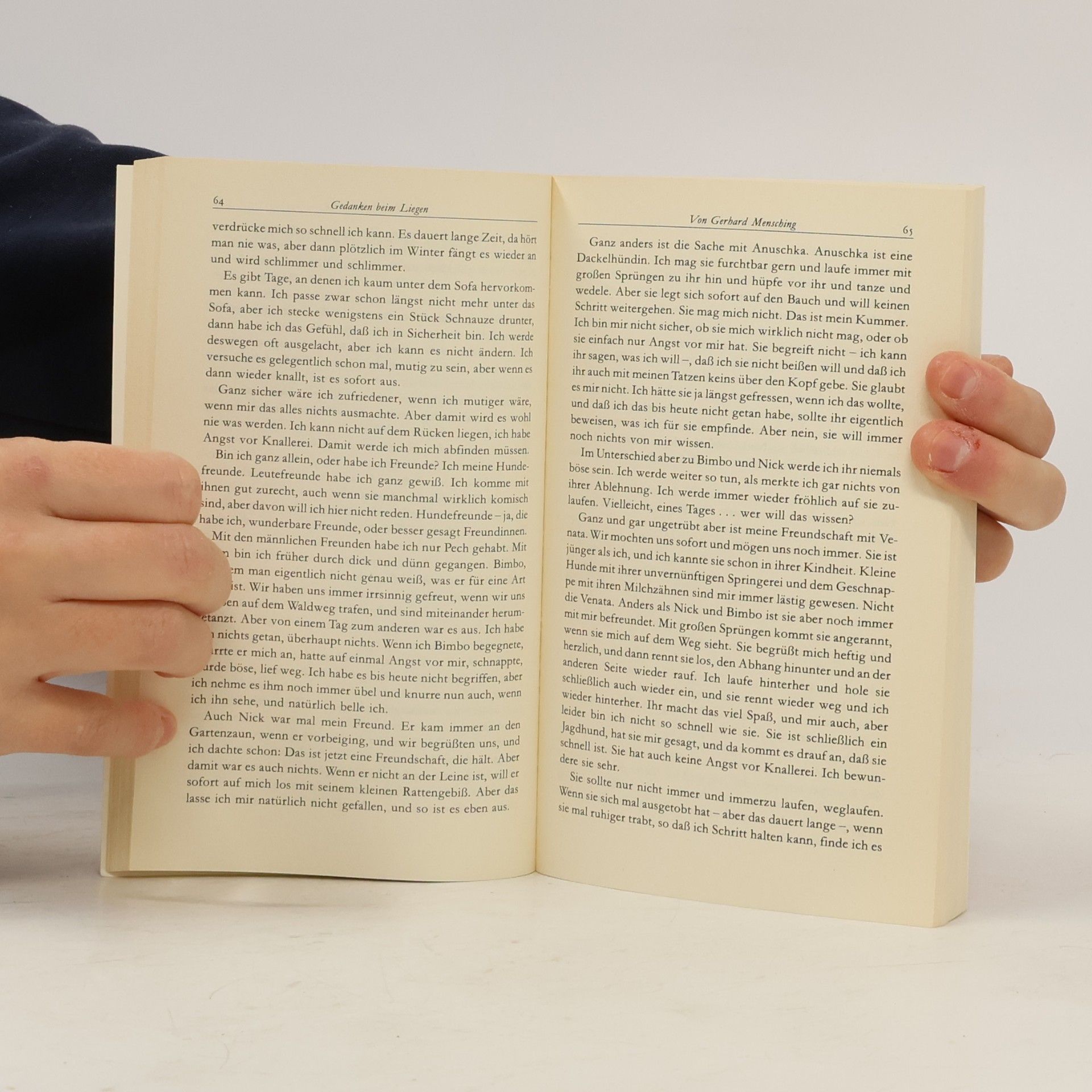 Autorenkollektiv Der Rabe 38