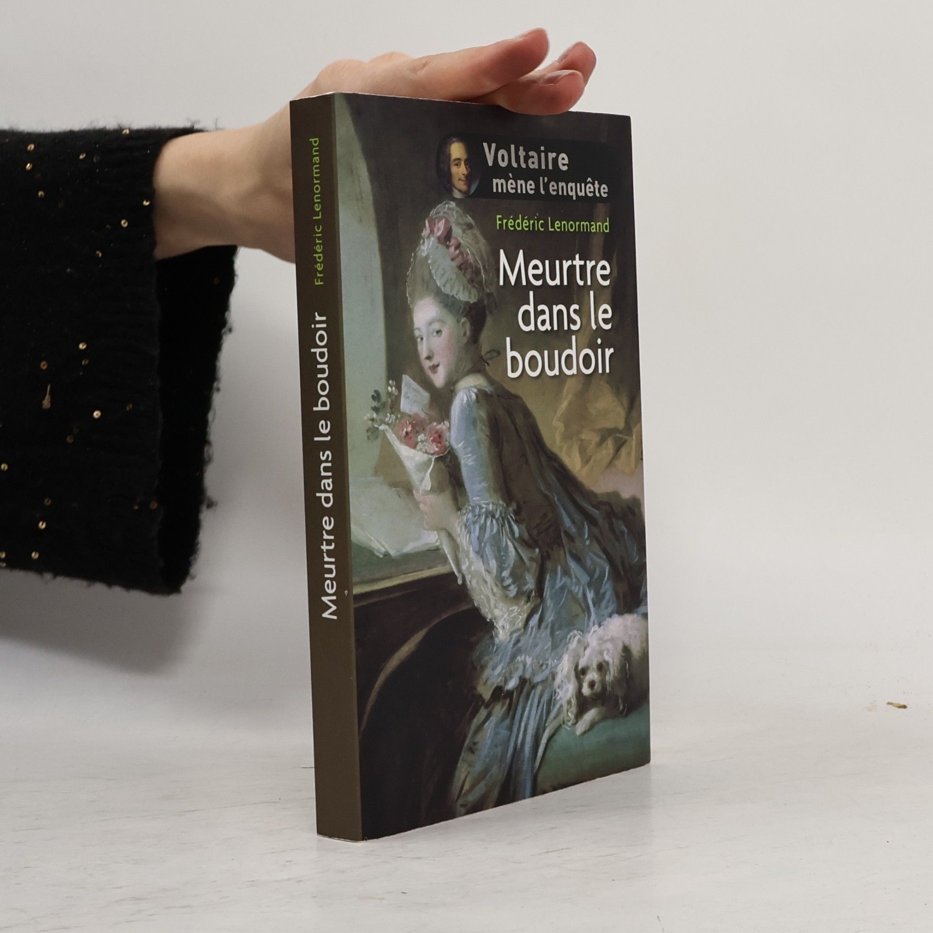 Voltaire mène l'enquête: Meurtre dans le boudoir