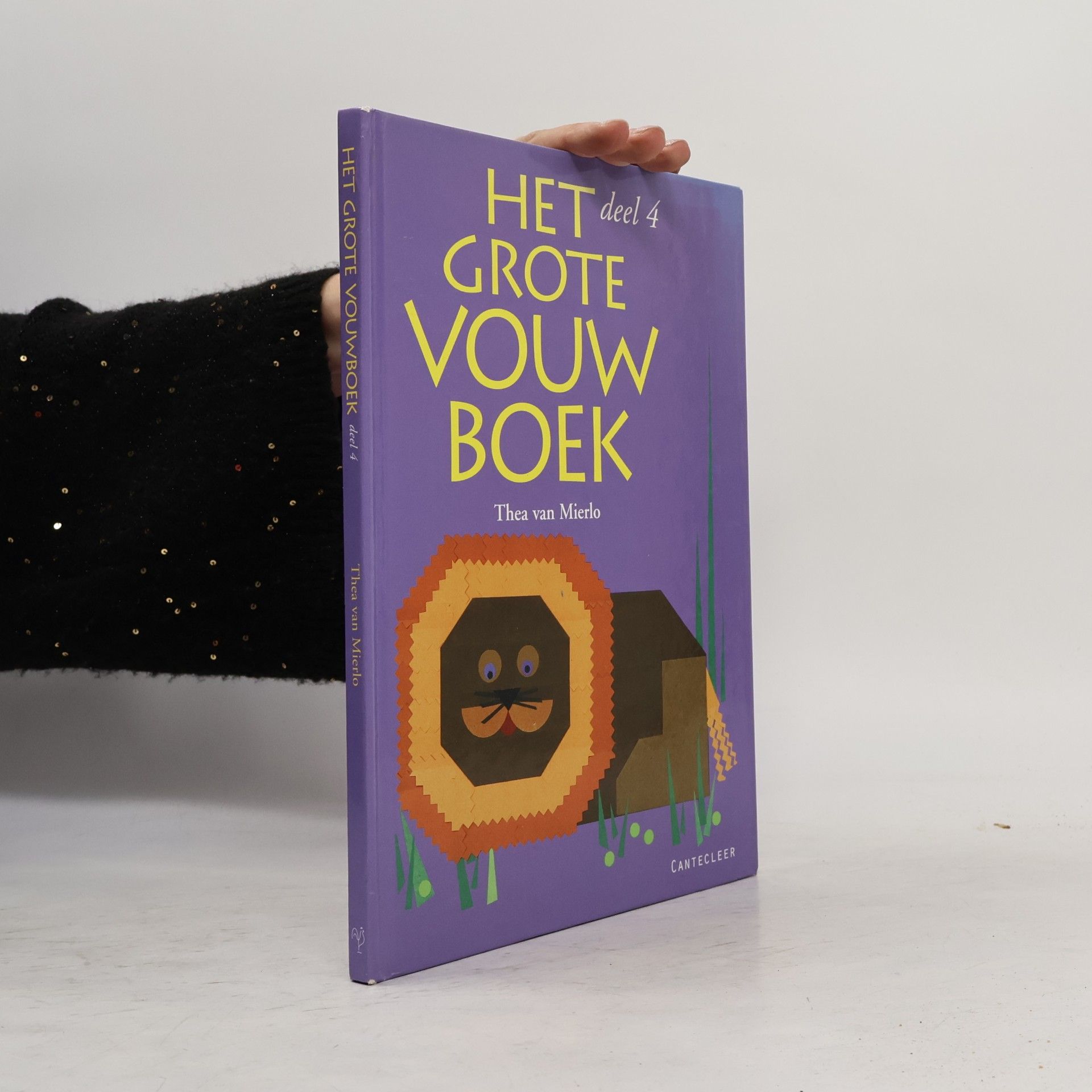 Thea van Mierlo Het grote vouwboek