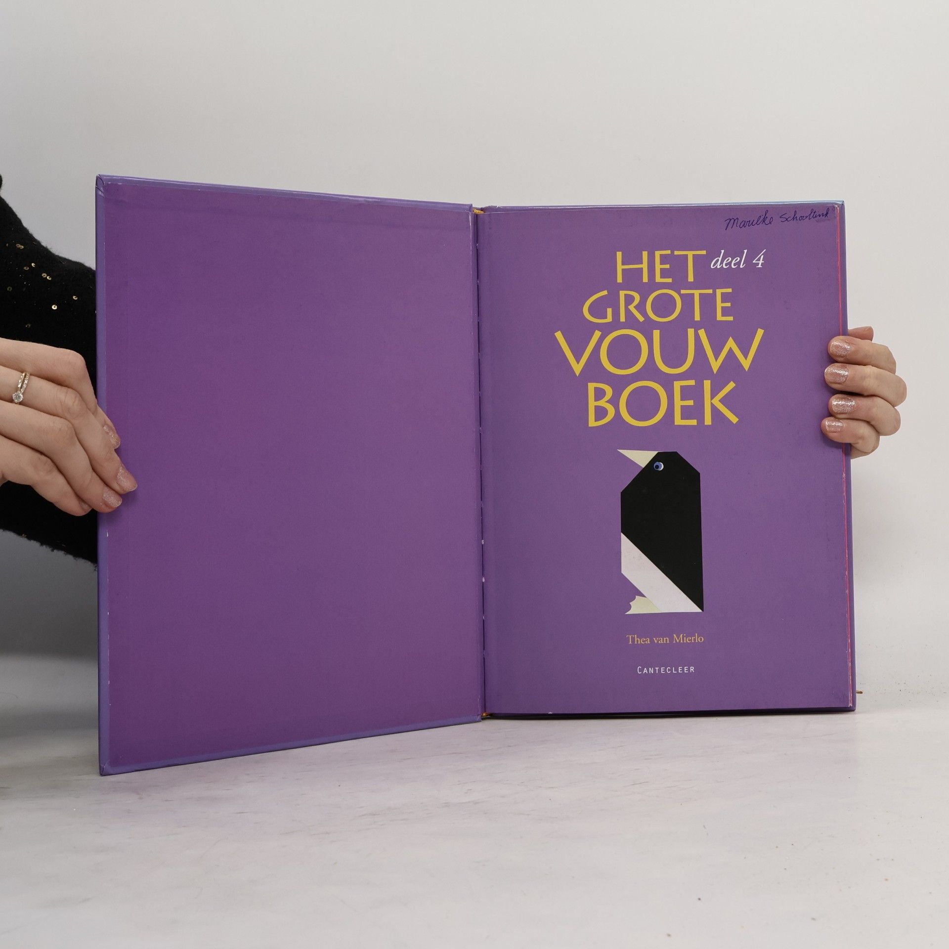 Thea van Mierlo Het grote vouwboek