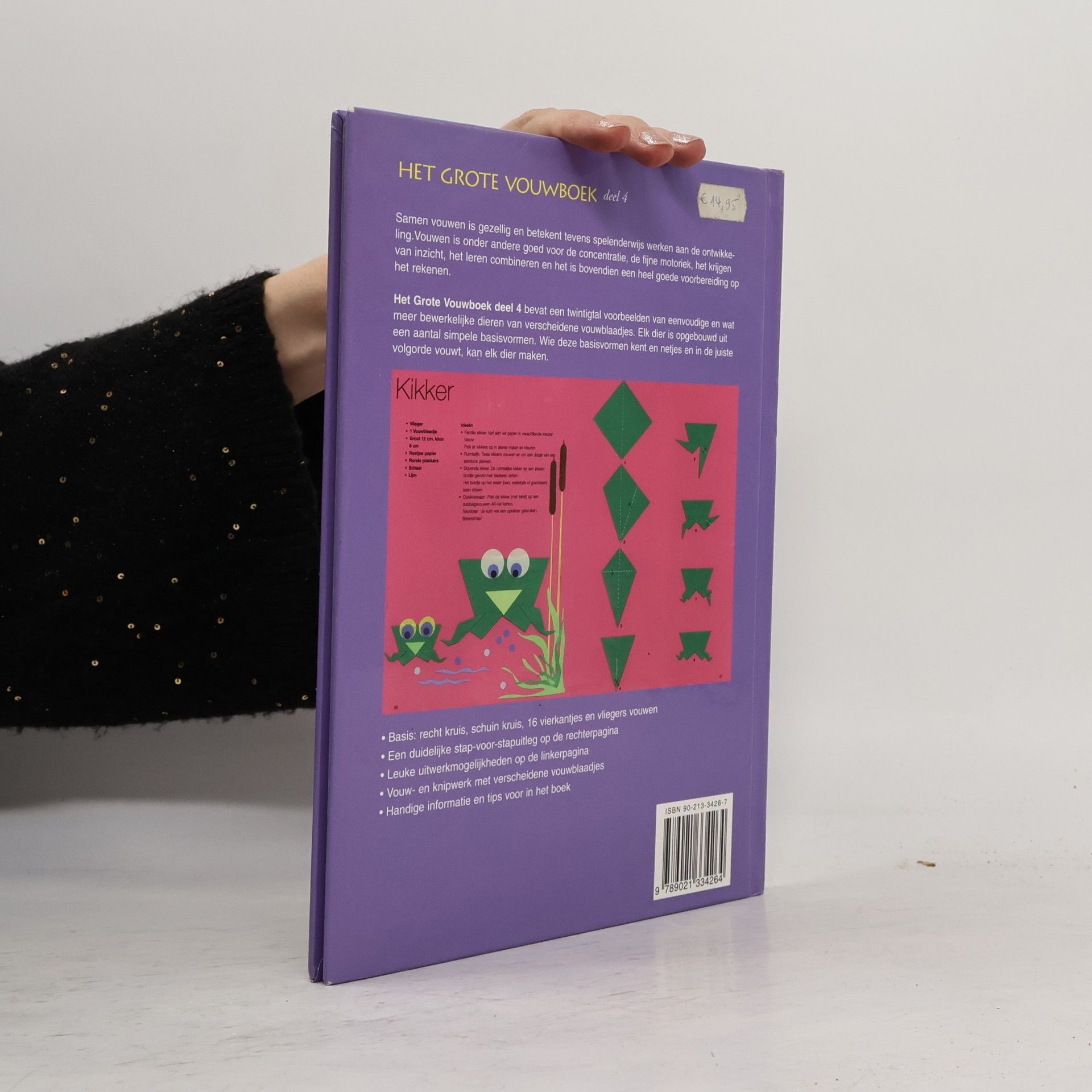 Thea van Mierlo Het grote vouwboek
