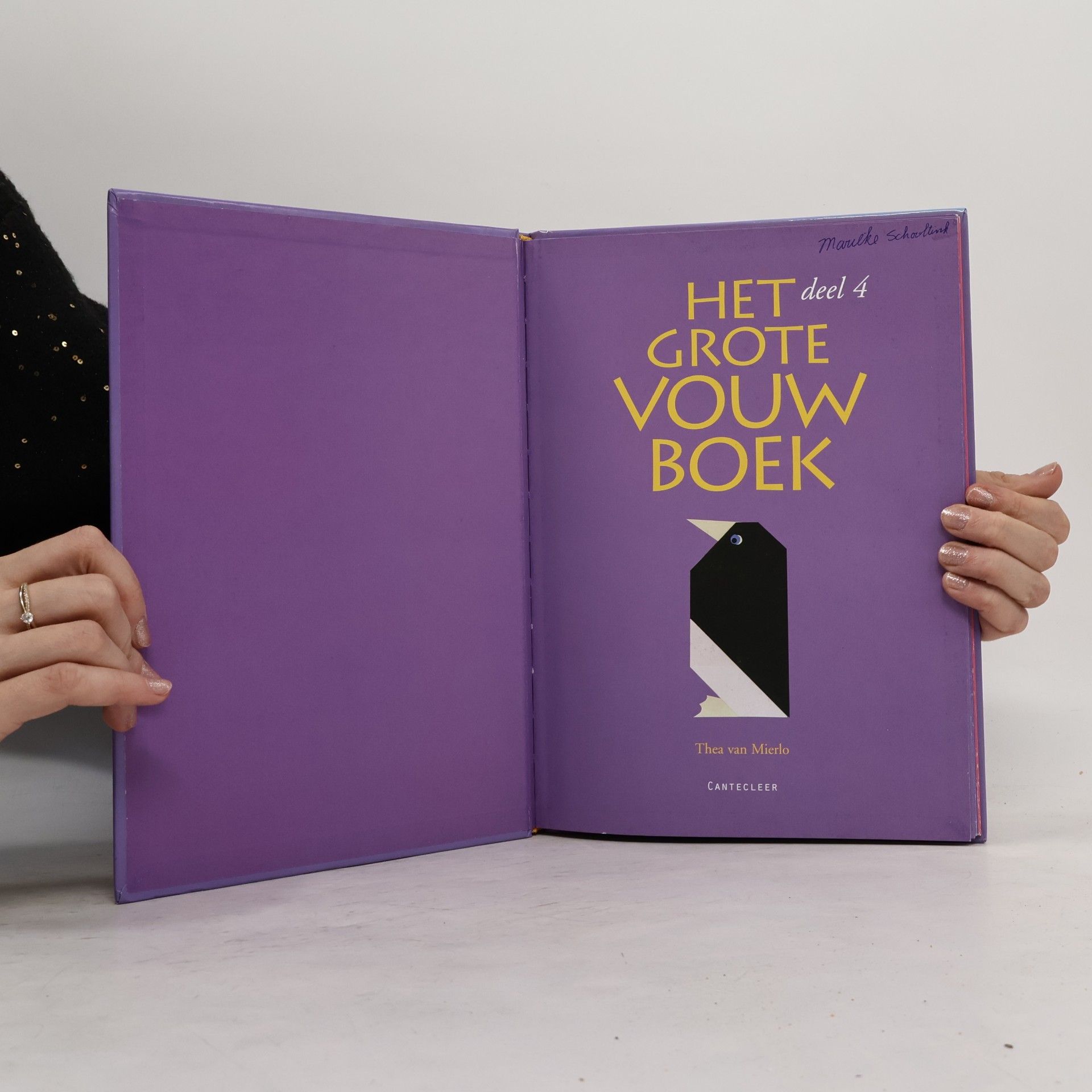 Thea van Mierlo Het grote vouwboek