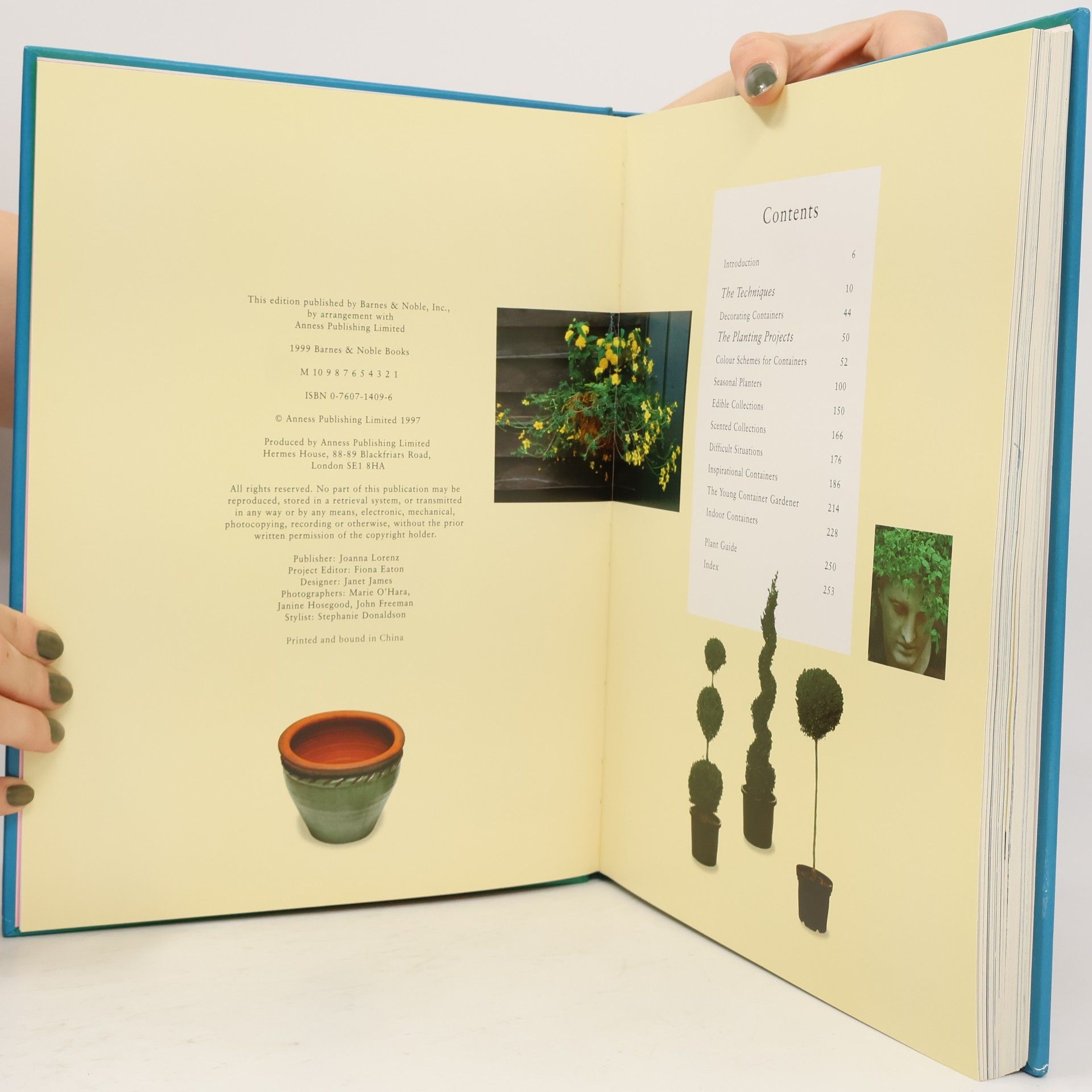 Stephanie Donaldson Ultimate Container Gardener