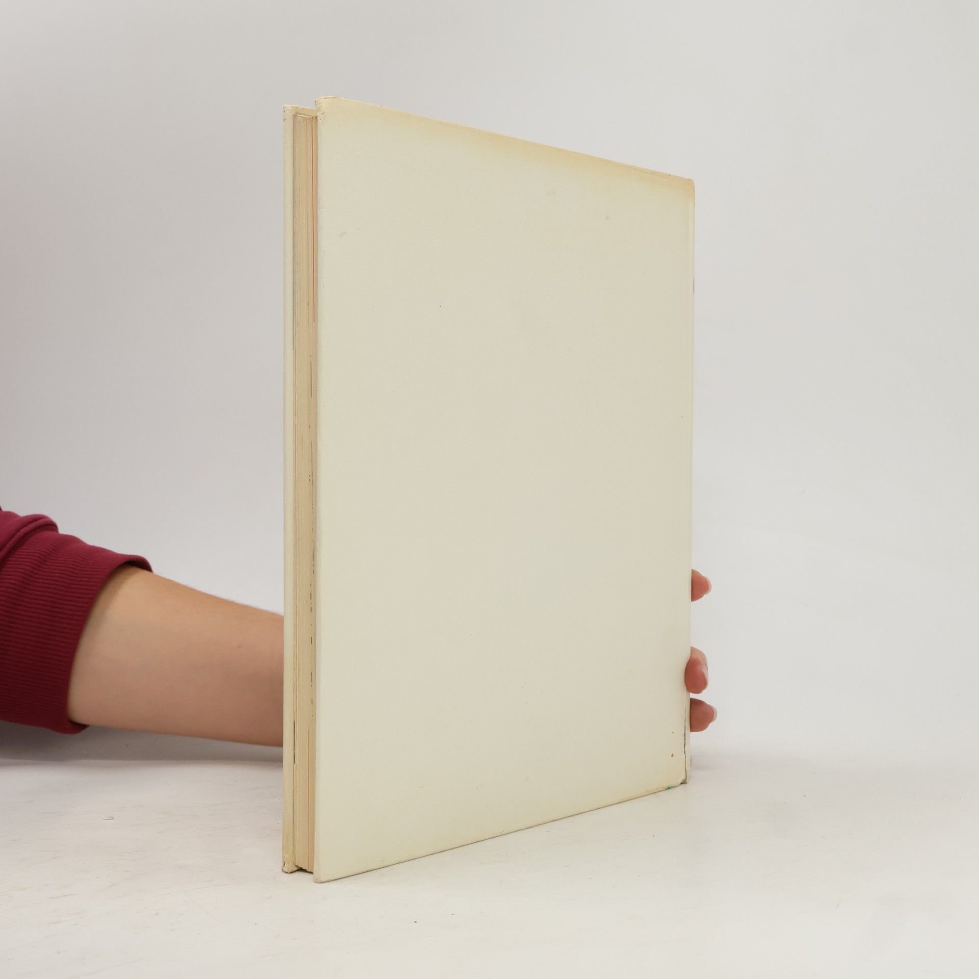Autorenkollektiv Das grosse Antwort Buch