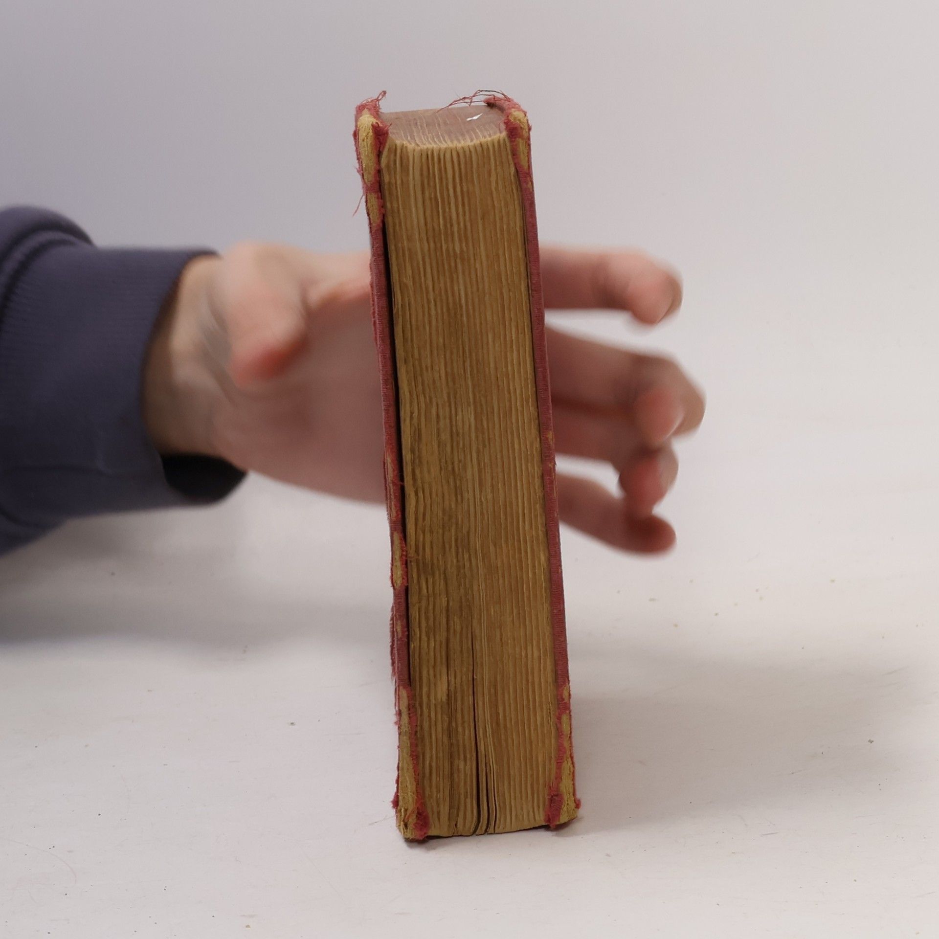F. P. H. Prick van Wely van Goor's Engels Zakwoordenboek
