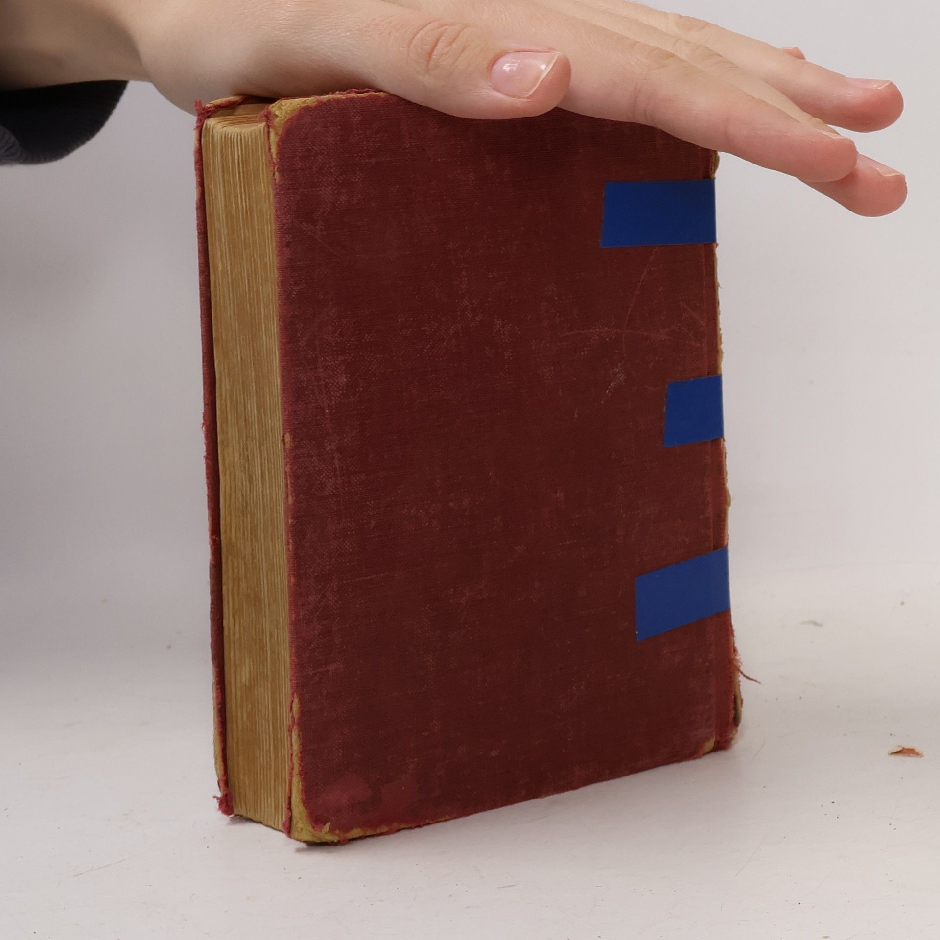 F. P. H. Prick van Wely van Goor's Engels Zakwoordenboek