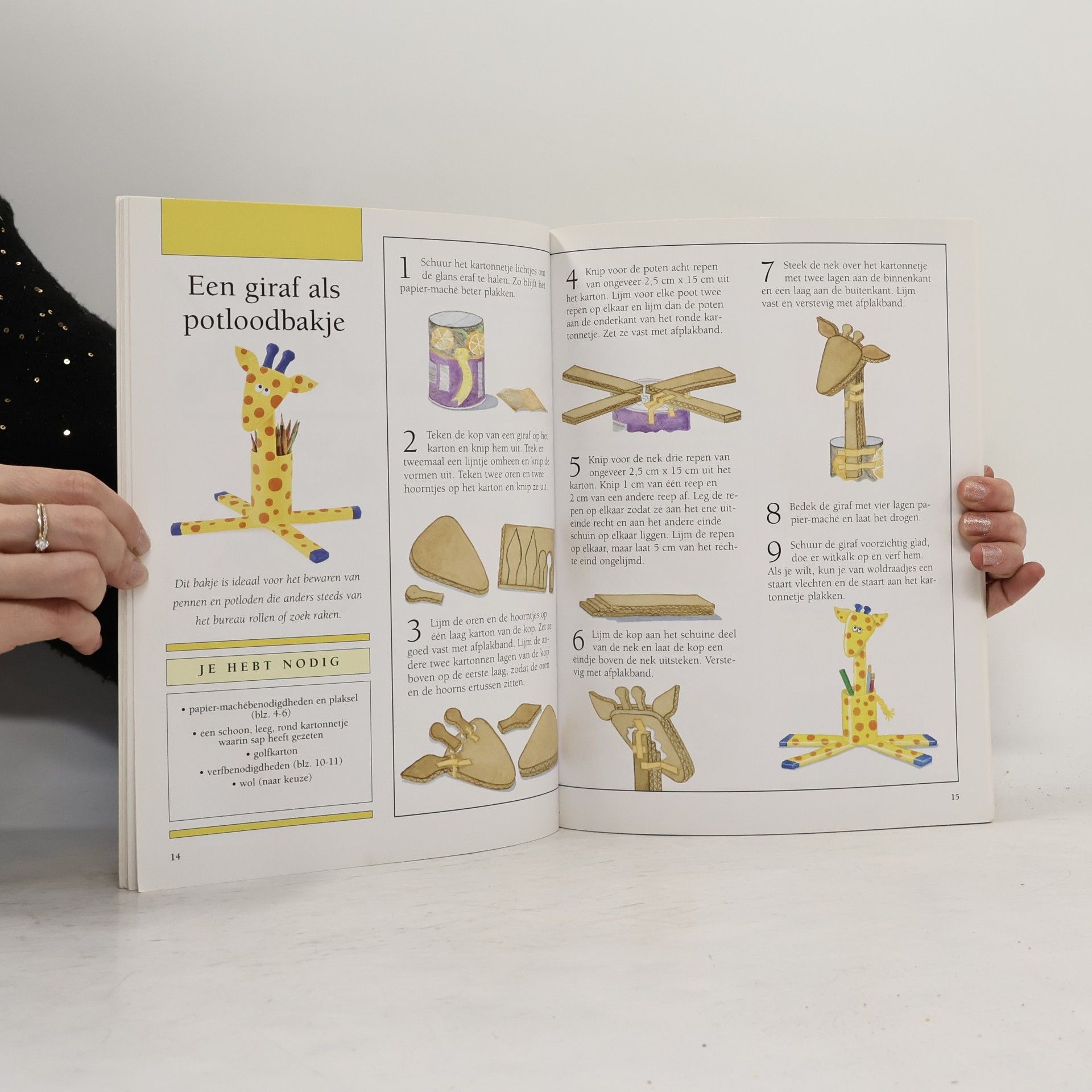 Renée Schwarzenbach Knutselatelier: Originele knutsels met papier-maché