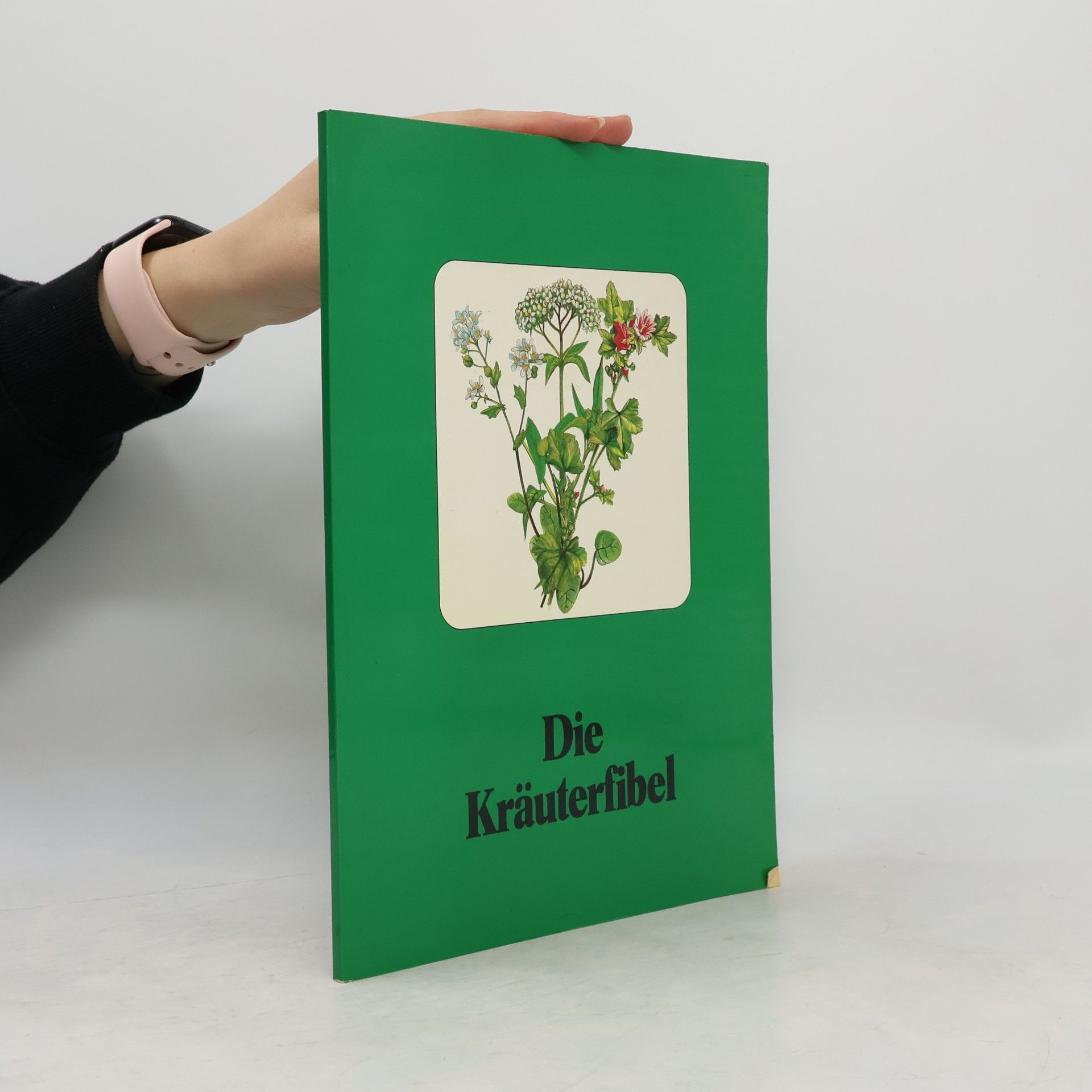 Autorenkollektiv Die Kräuterfibel