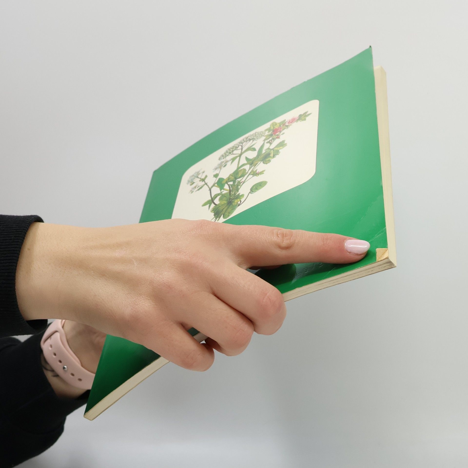 Autorenkollektiv Die Kräuterfibel