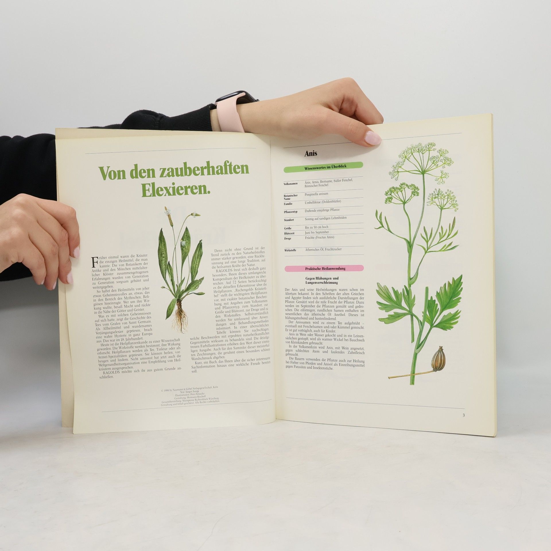 Autorenkollektiv Die Kräuterfibel