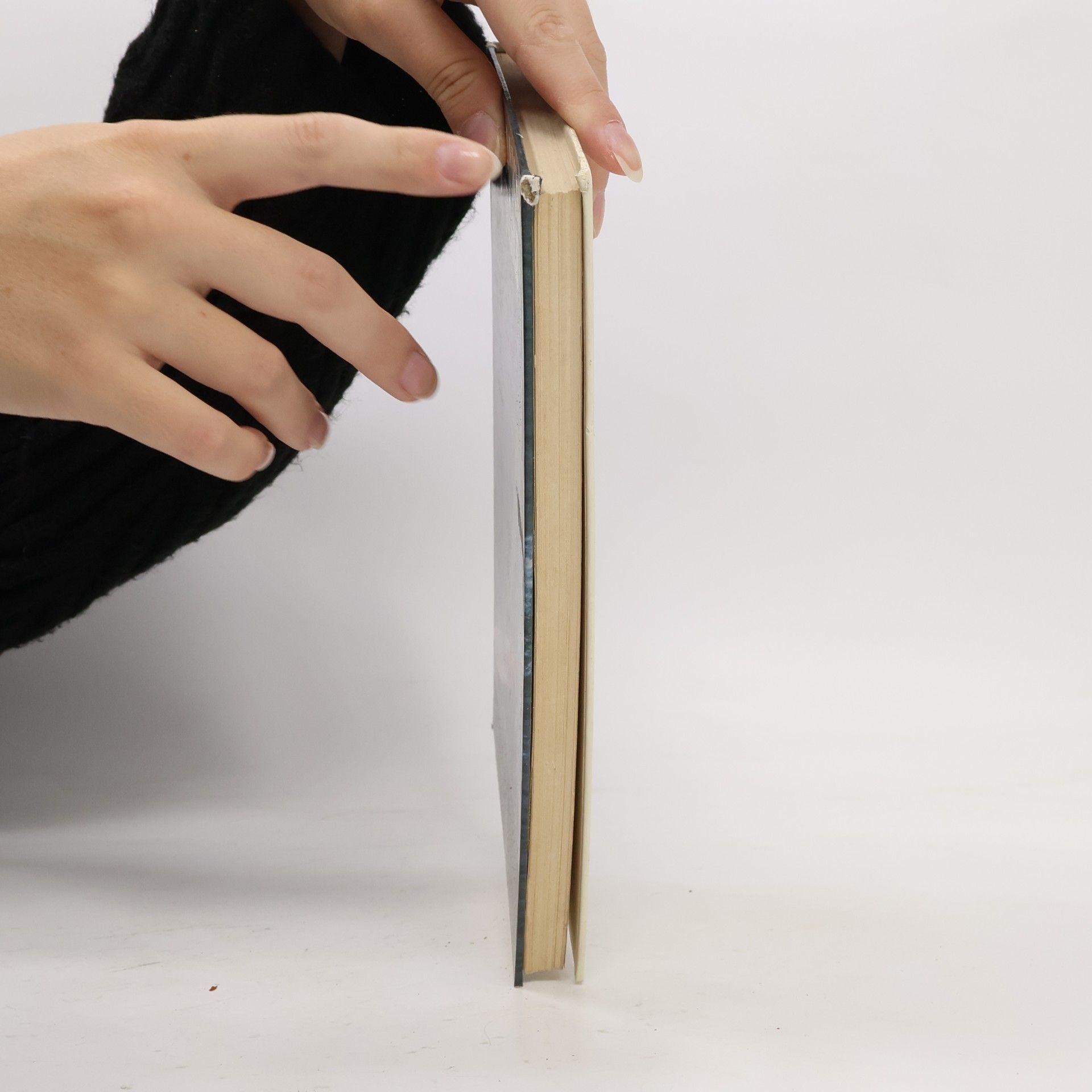 Marcelin Houbart Pratiques Hachette: La planche à voile