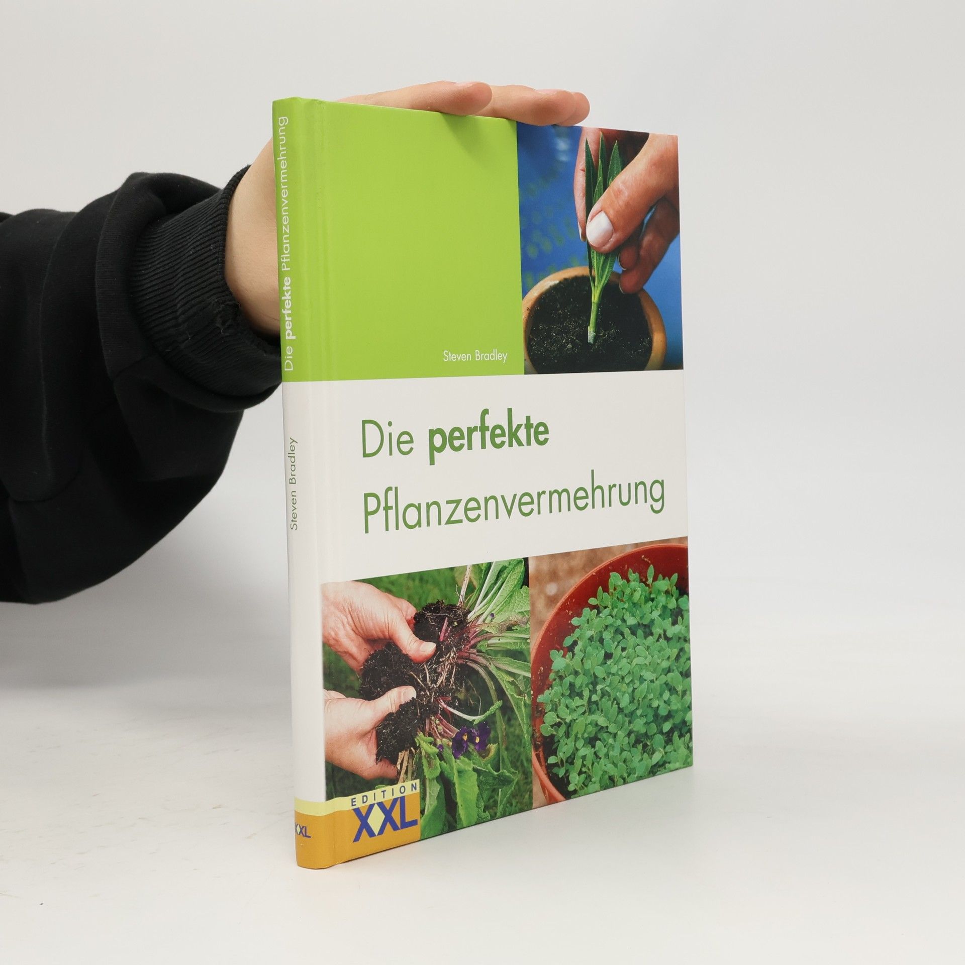 Die perfekte Pflanzenvermehrung
