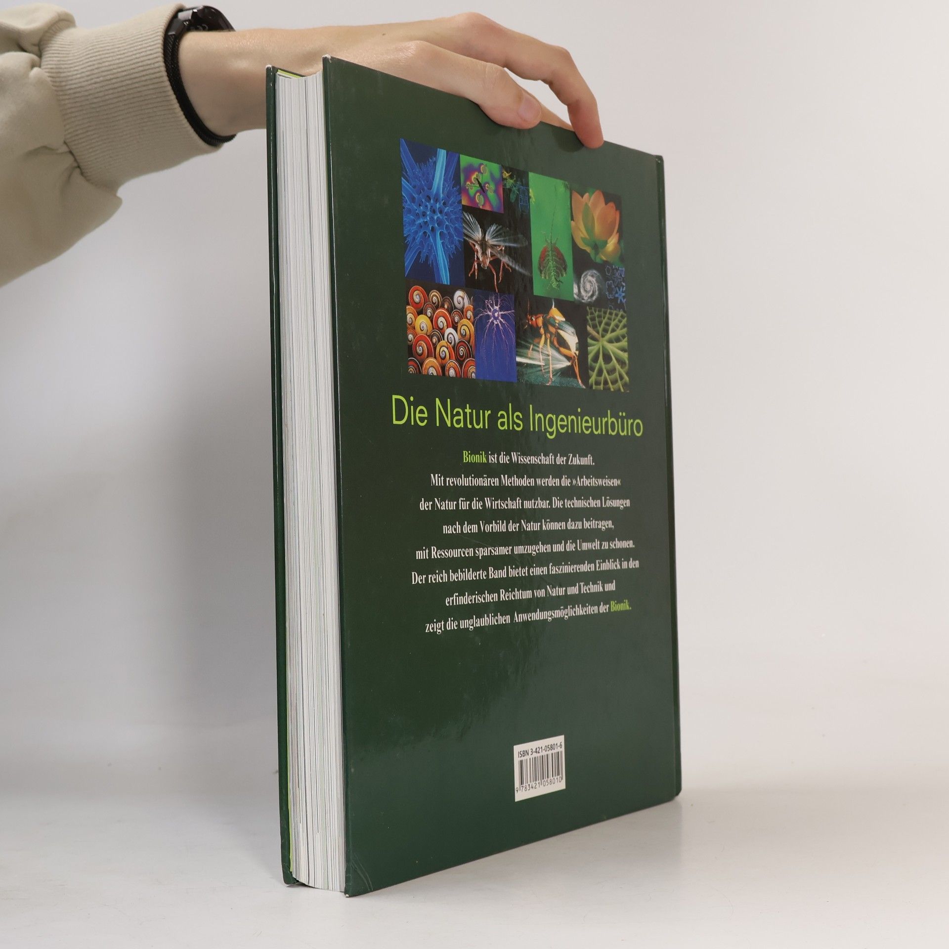 Werner Nachtigall Das große Buch der Bionik