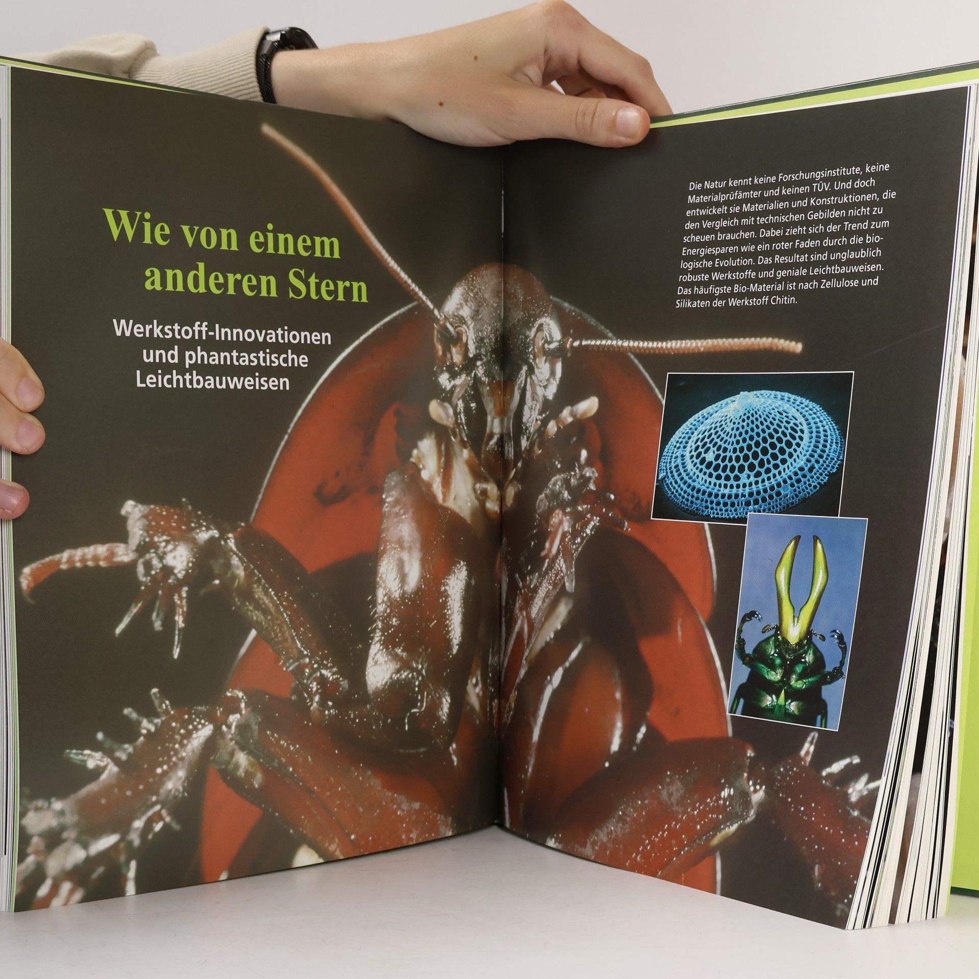 Werner Nachtigall Das große Buch der Bionik
