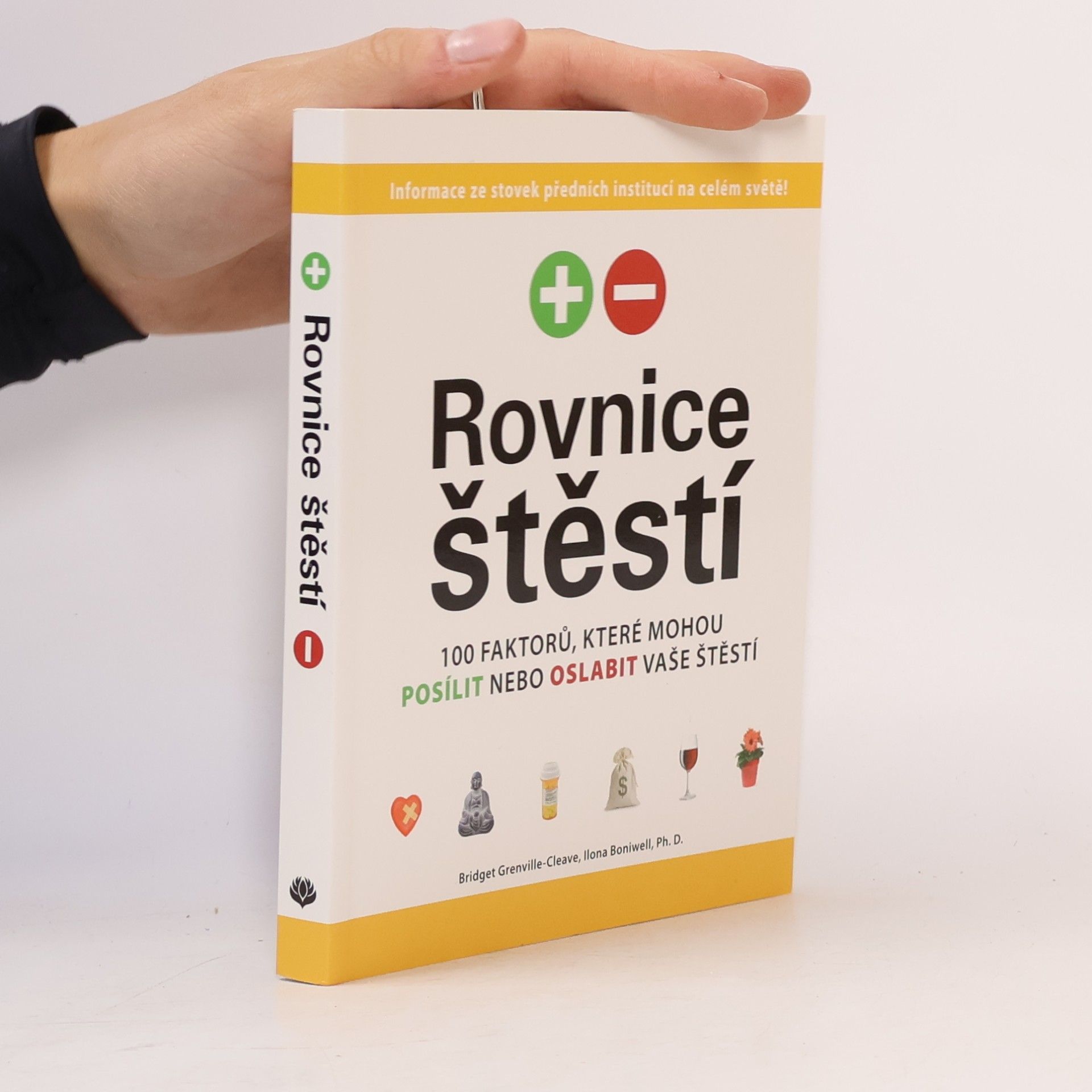 Bridget Grenville-Cleave Rovnice štěstí