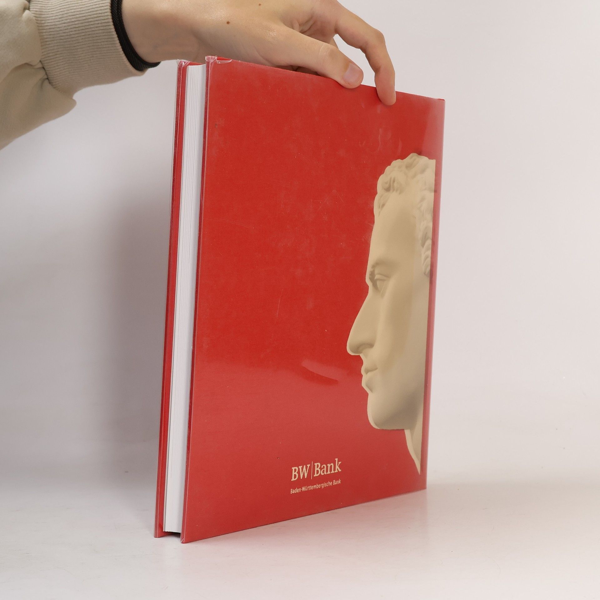 Rose Unterberger Friedrich Schiller. Orte und Bildnisse