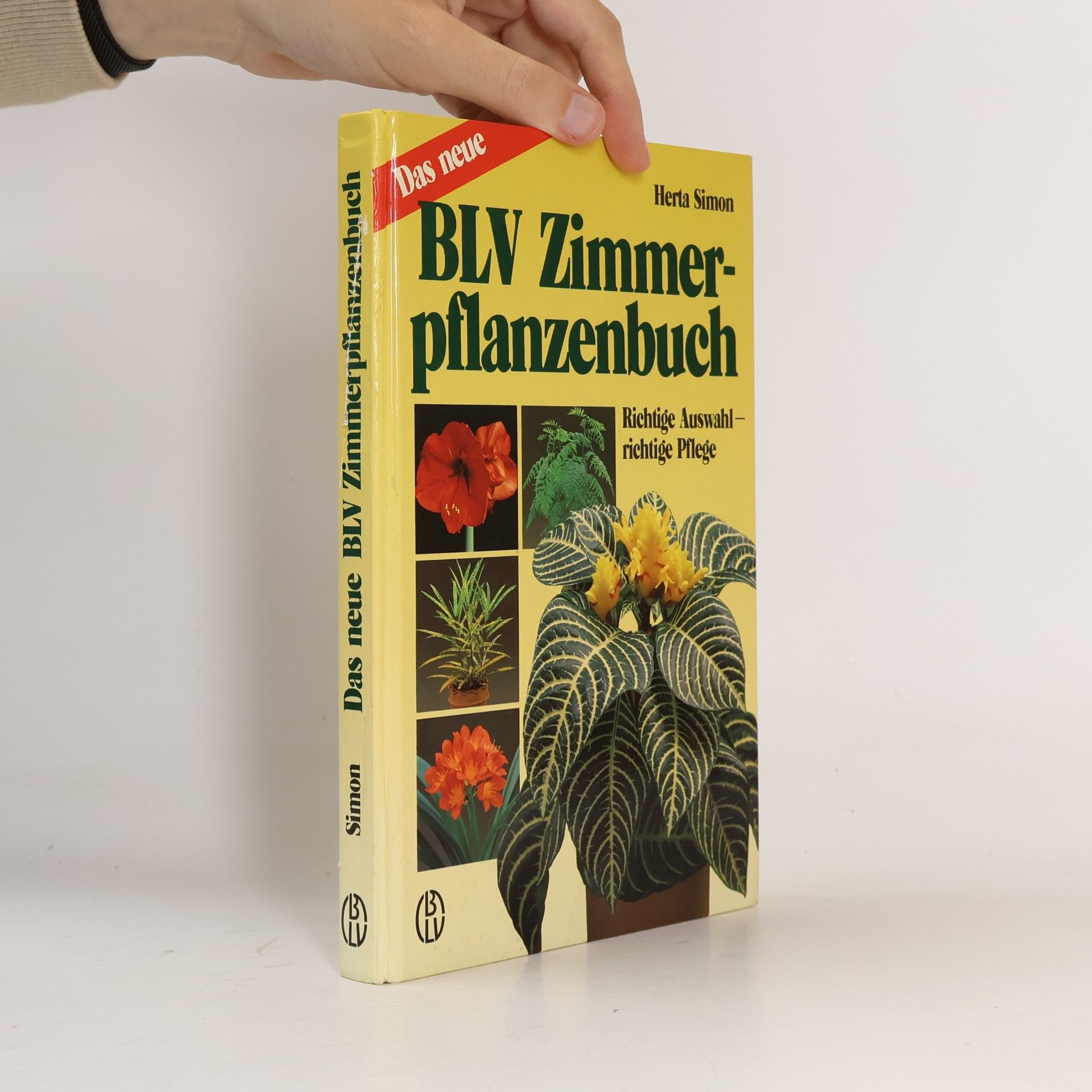 Das neue BLV-Zimmerpflanzenbuch
