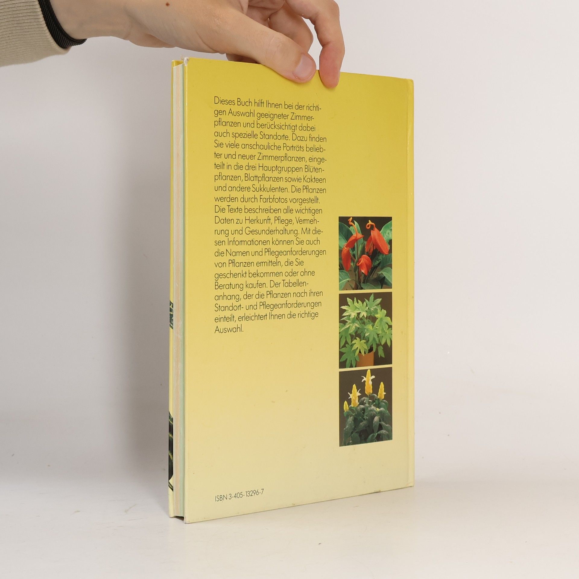 Herta Simon Das neue BLV-Zimmerpflanzenbuch