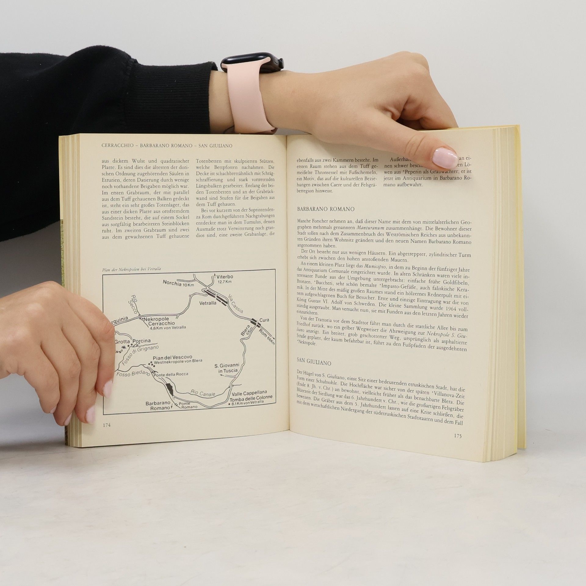 Robert Hess Das etruskische Italien