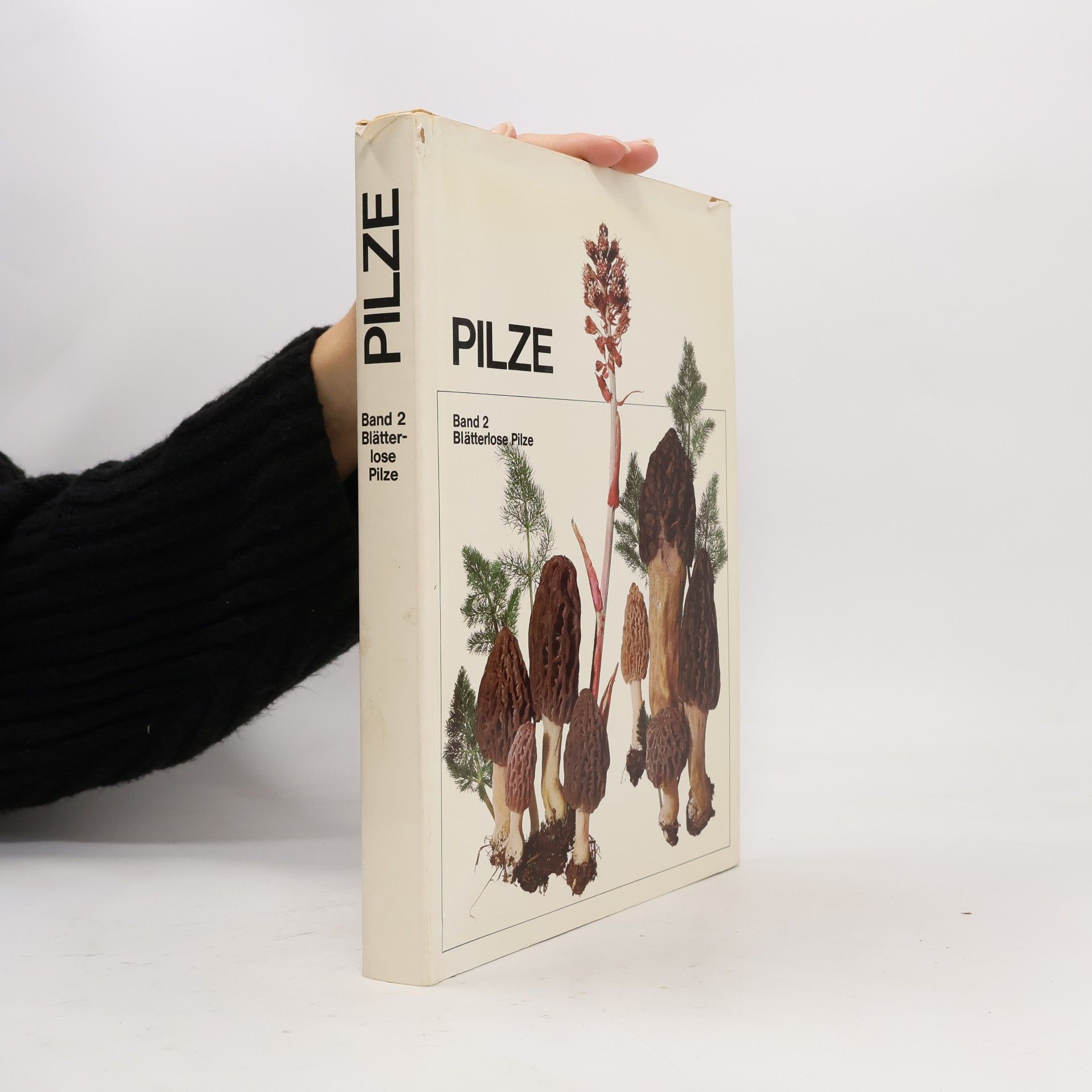 Pilze. Band 2.