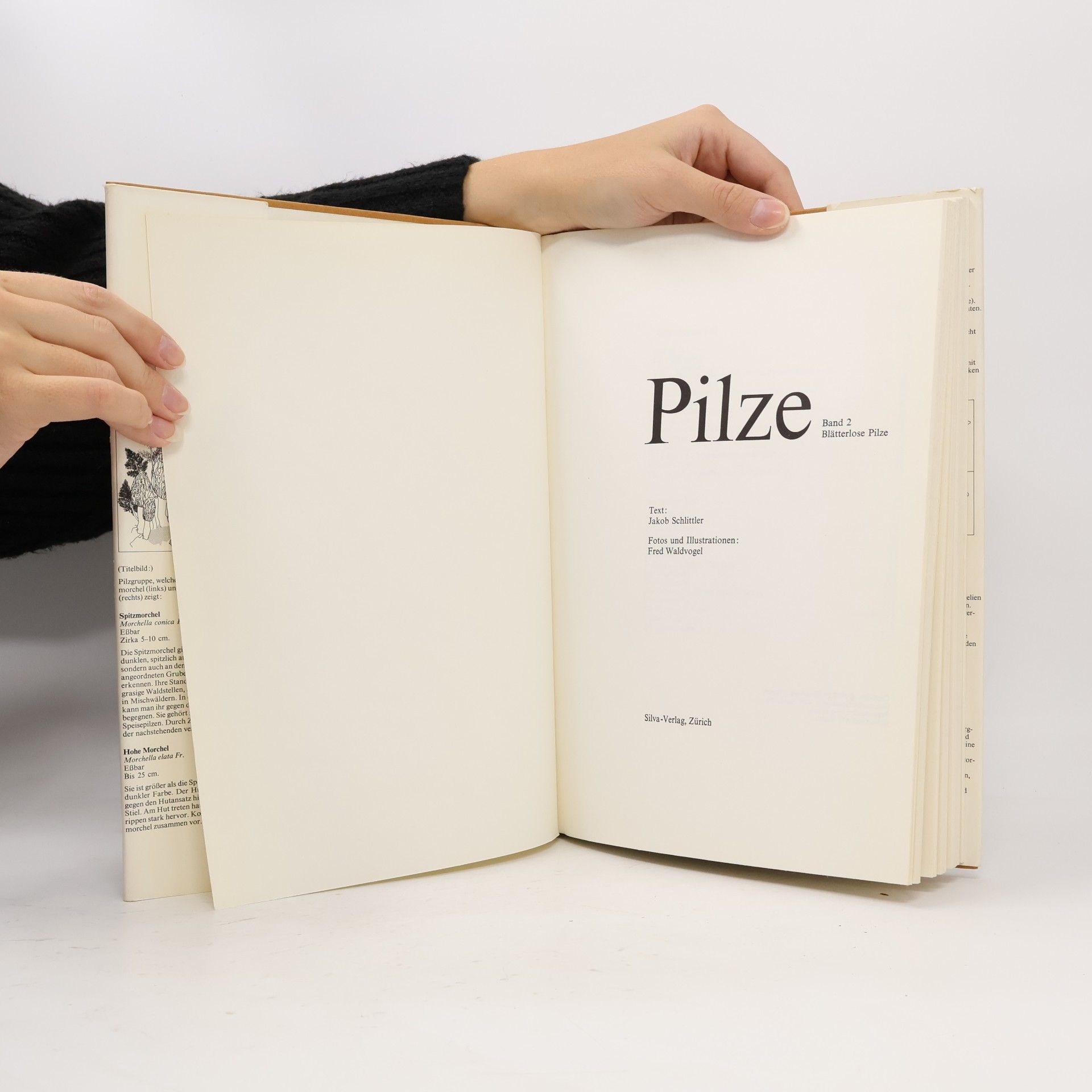 Jakob Schlittler Pilze. Band 2.