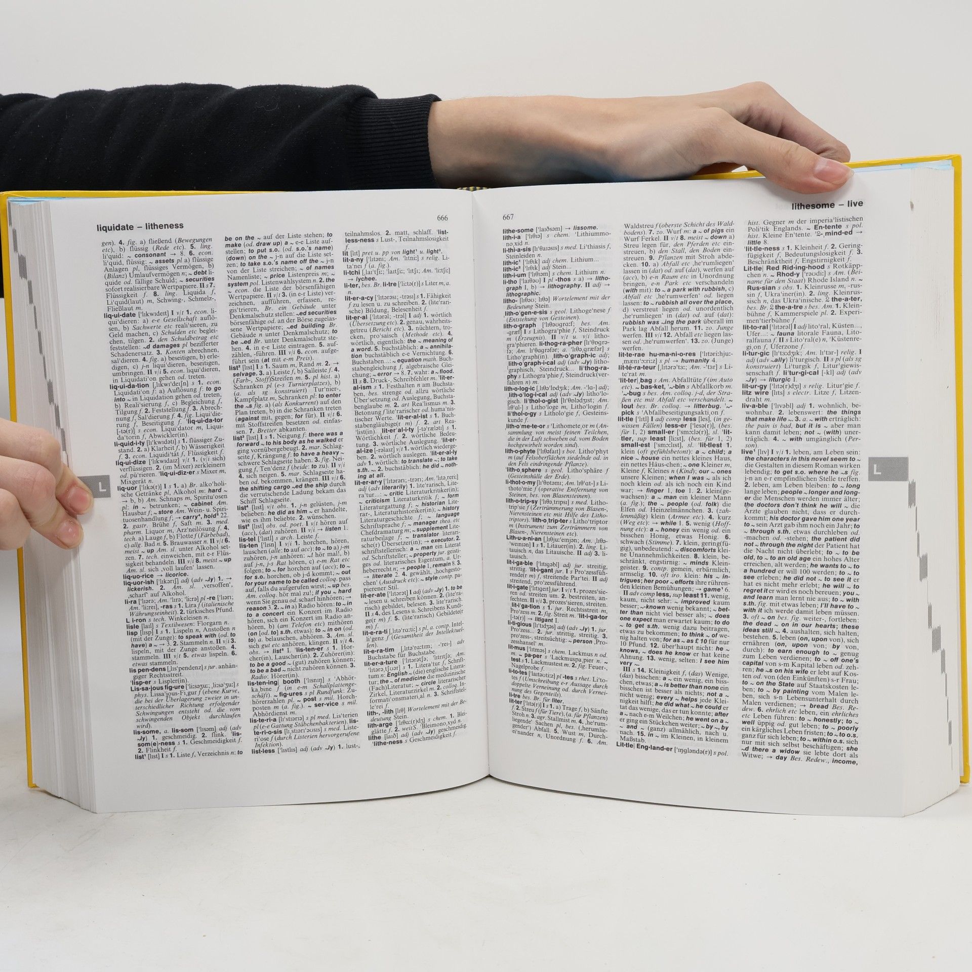 Helmut Willmann Langenscheidts Großwörterbuch Englisch