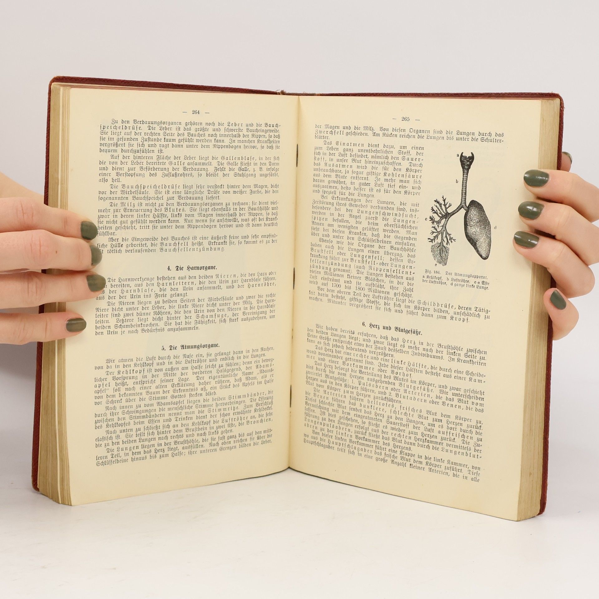 Reinhold Berger Handbuch des Wissens
