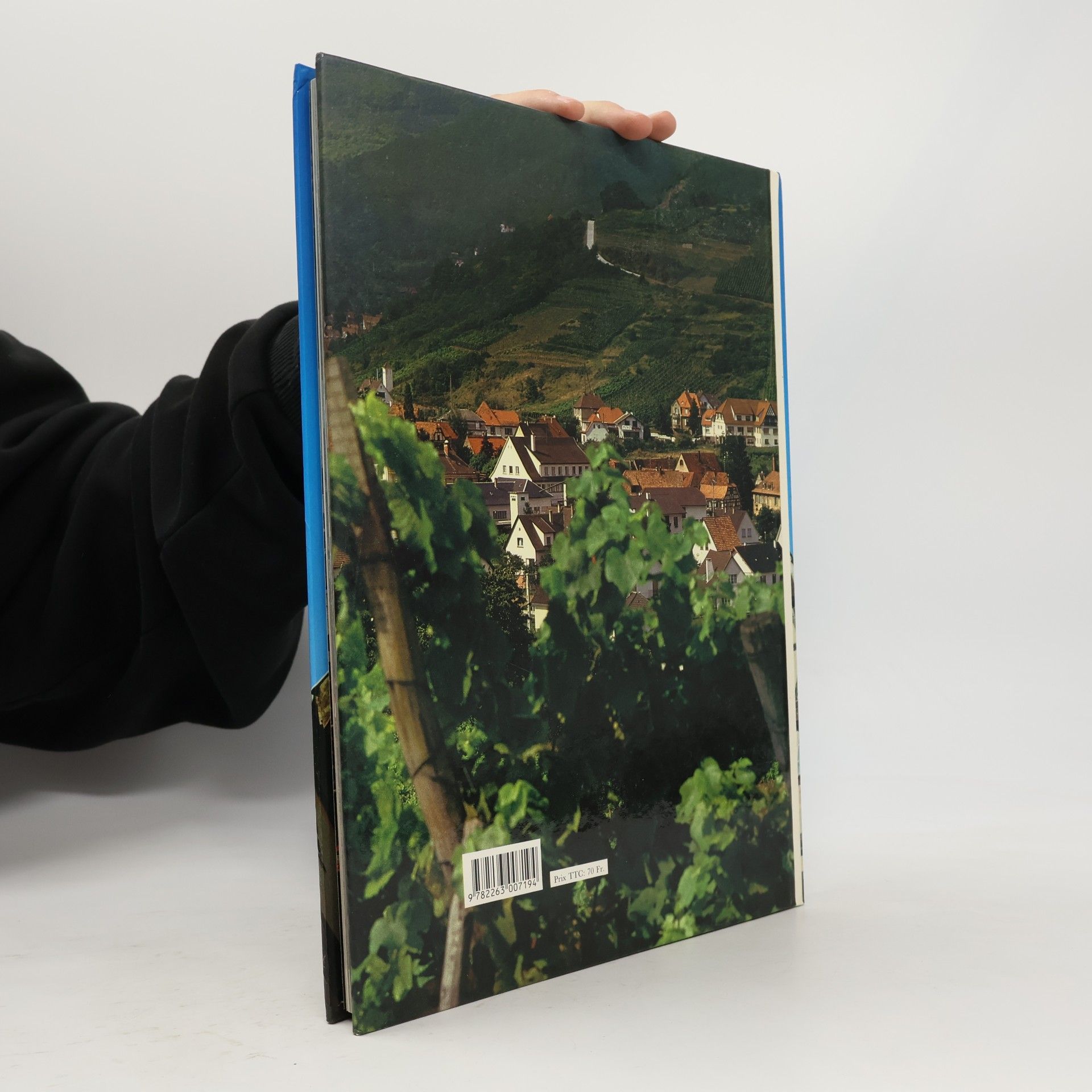 Ouvrage, Collectif Livre blanc sur l'agression israelienne au liban