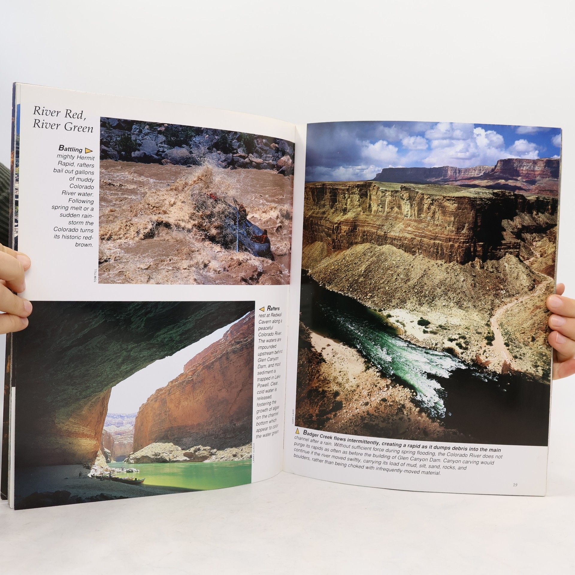 Connie Rudd In Pictures Grand Canyon