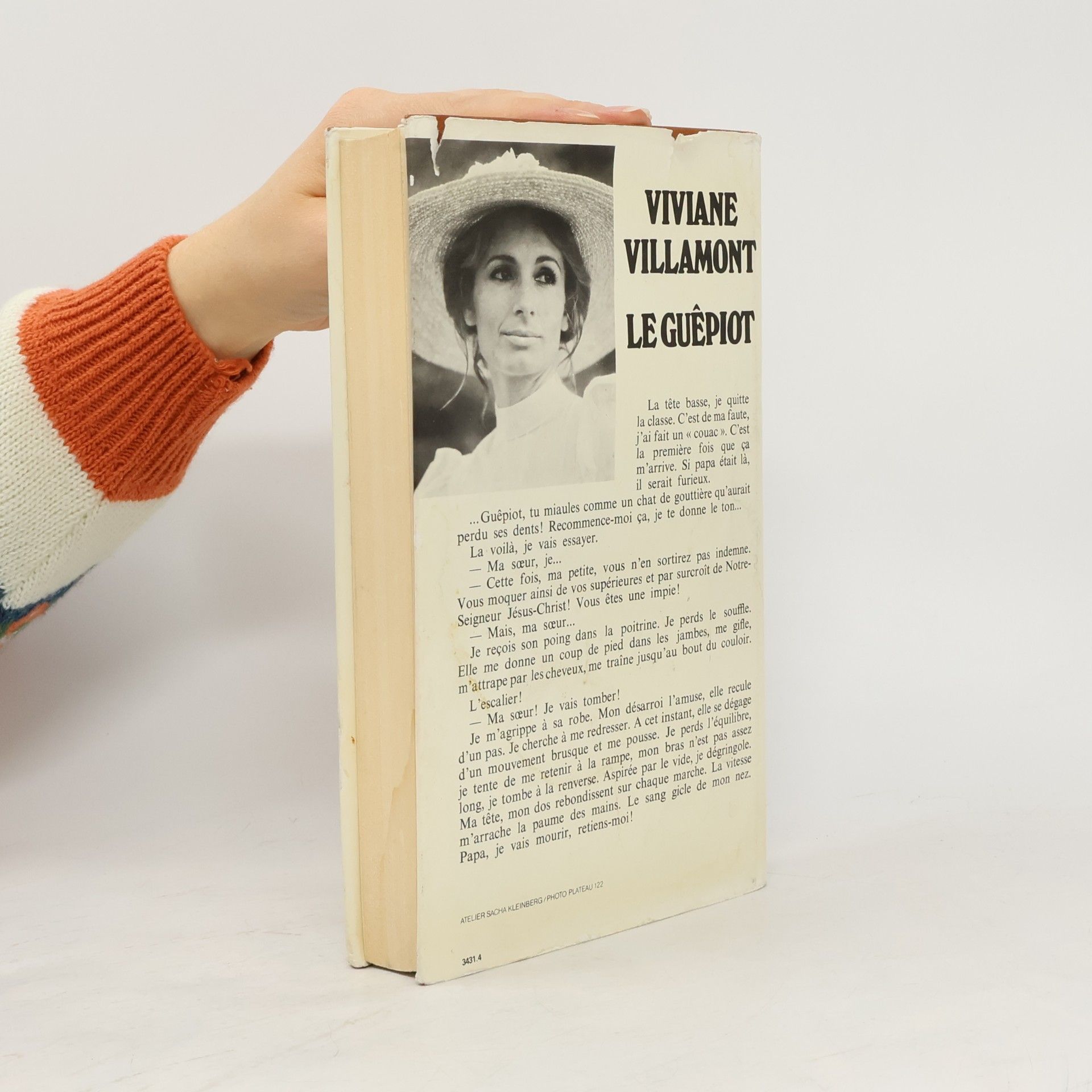 Viviane Villamont Le Guêpiot