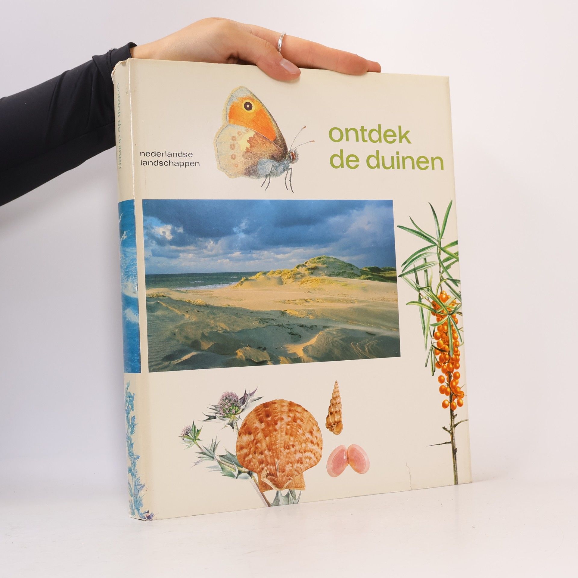 Ontdek de duinen nederlandse landschappen