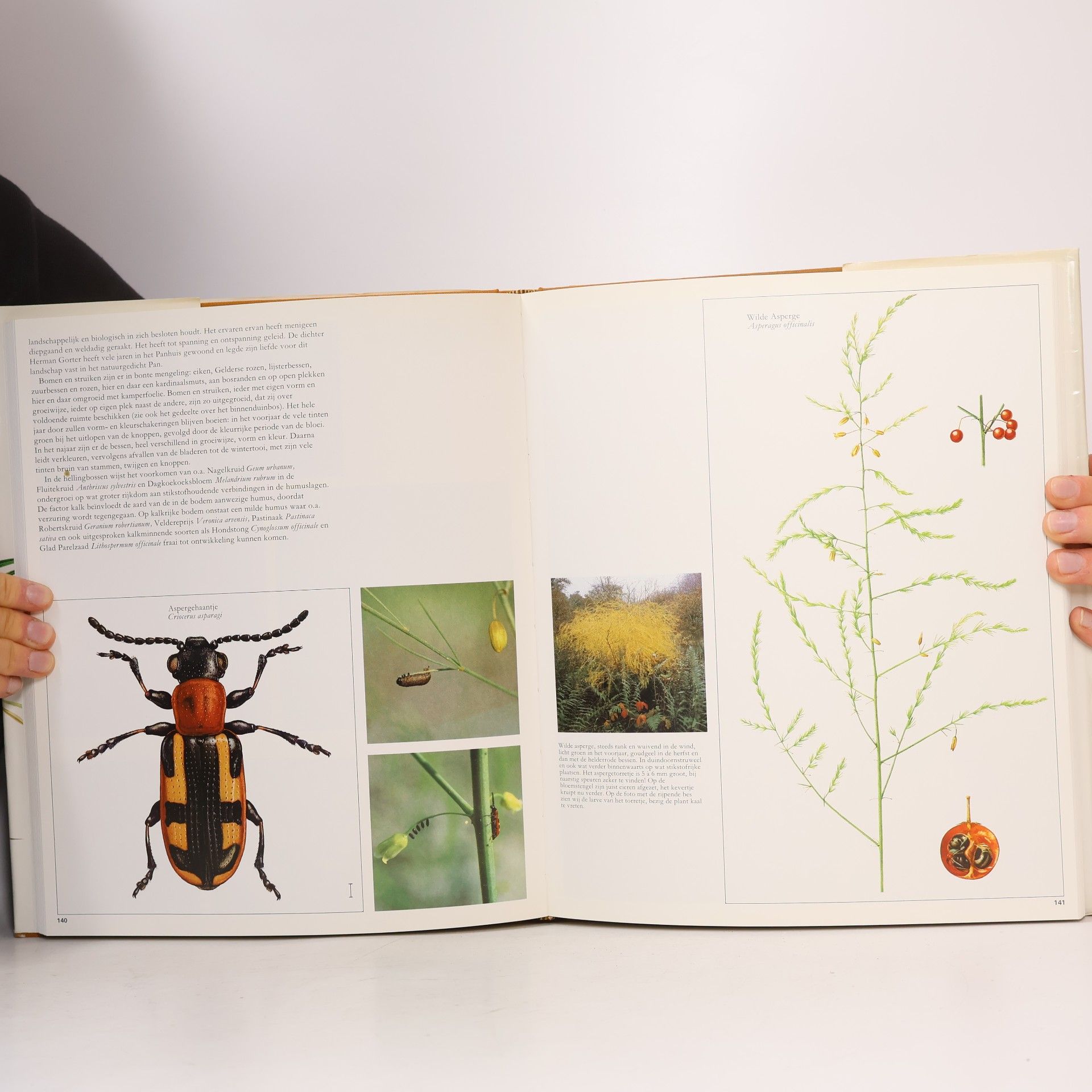 Drs. G.P. Gonggrijp Ontdek de duinen nederlandse landschappen