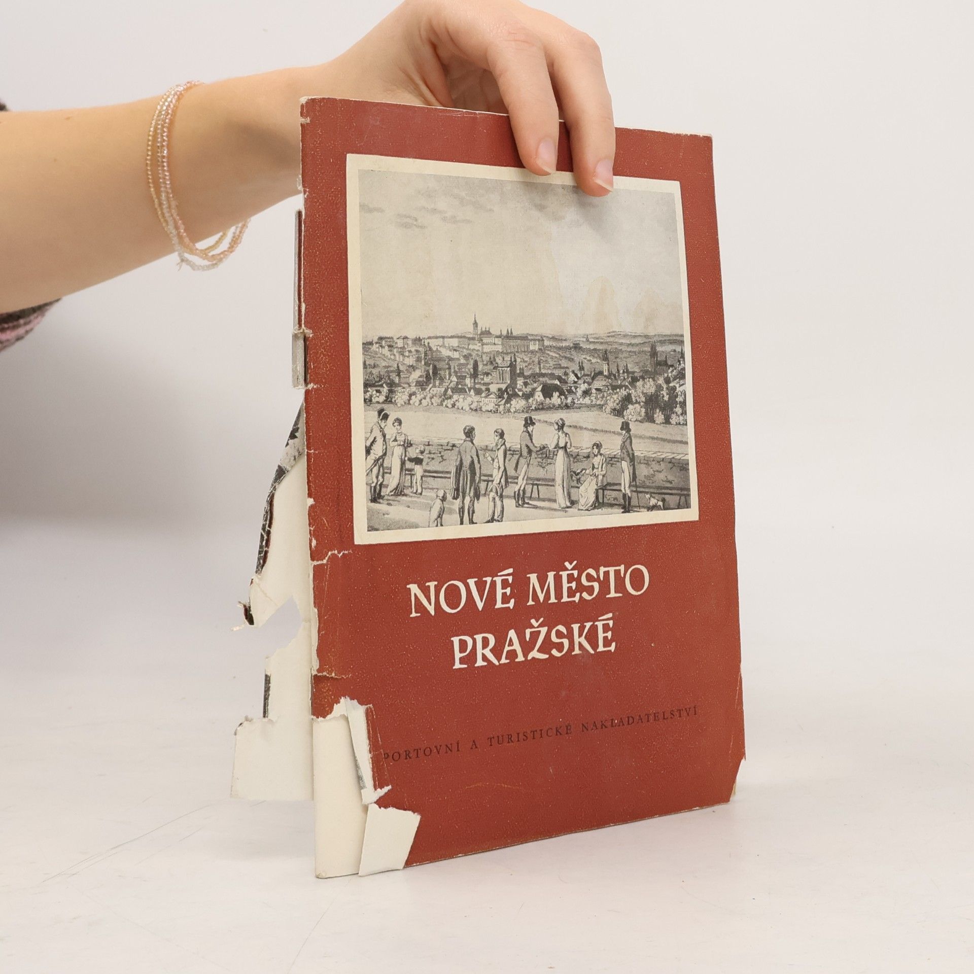 Autorenkollektiv Nové město pražské
