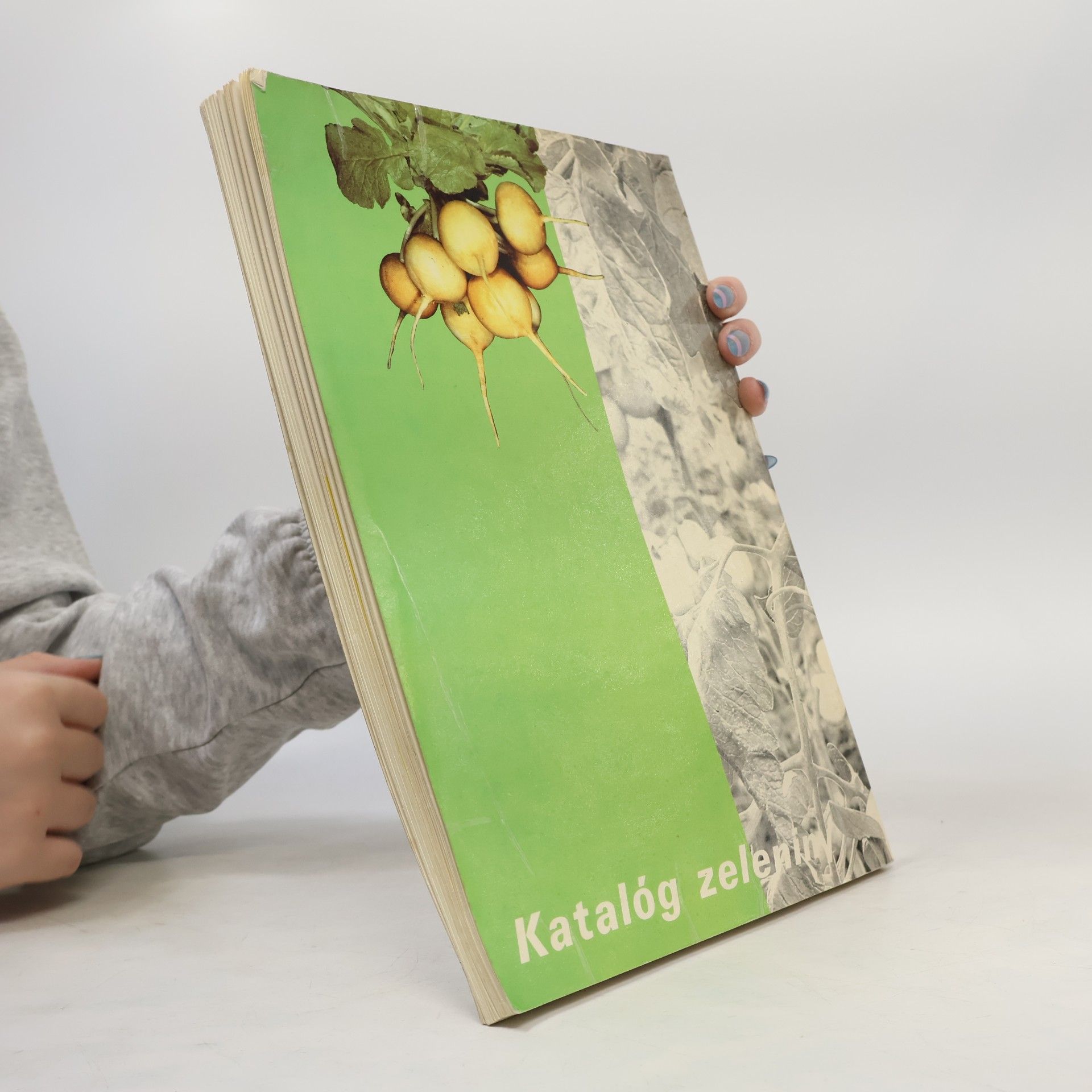 Autores varios Katalóg zeleniny Semex