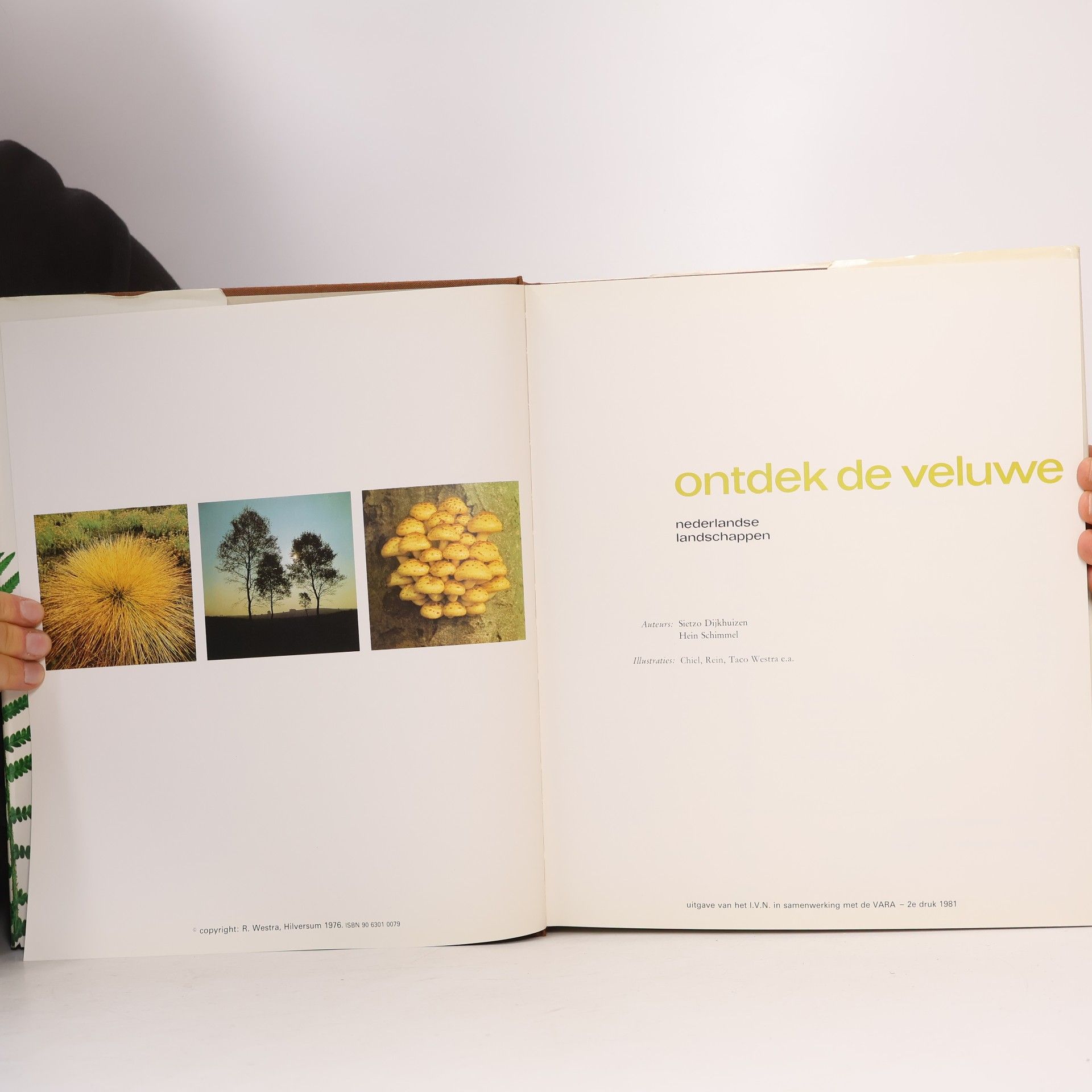 Sietzo Dijkhuizen Ontdek de veluwe